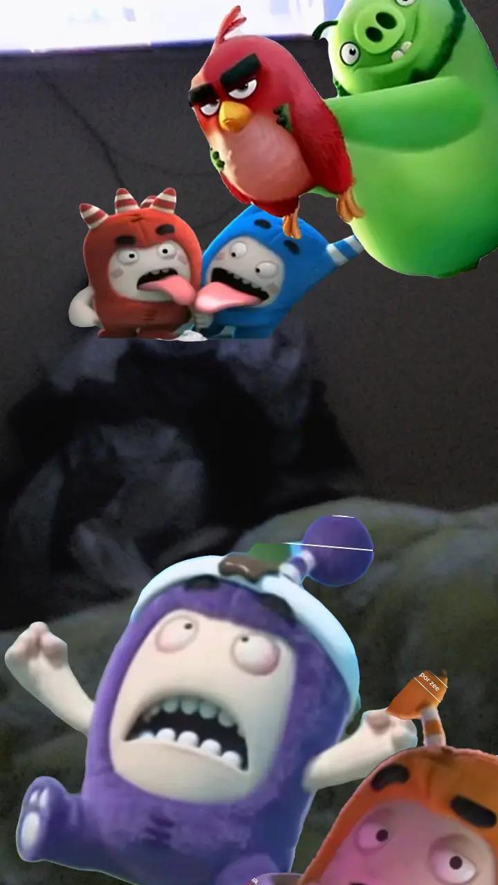 @chuck xd4242