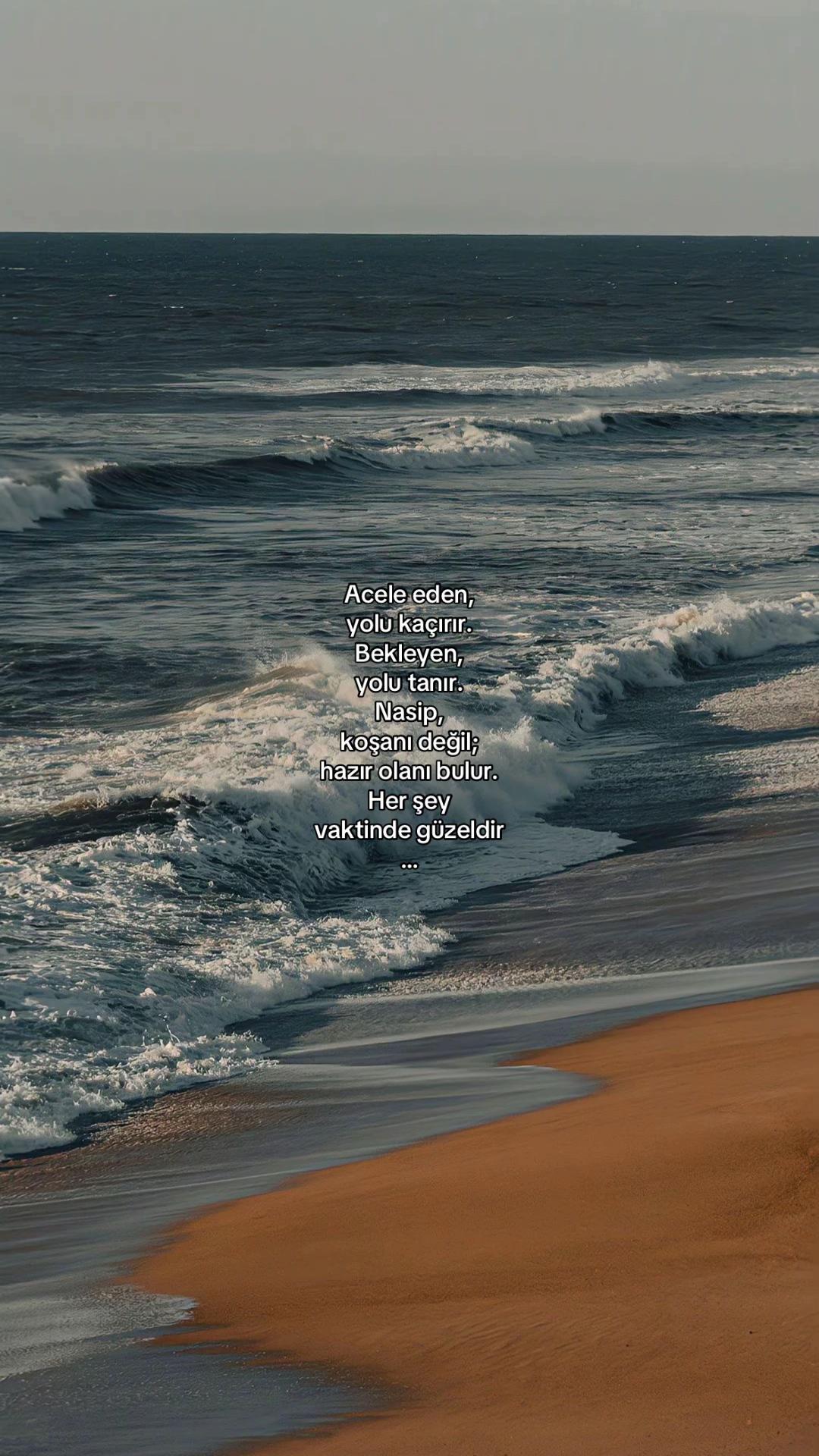 @𝓔𝓵𝓲𝓯