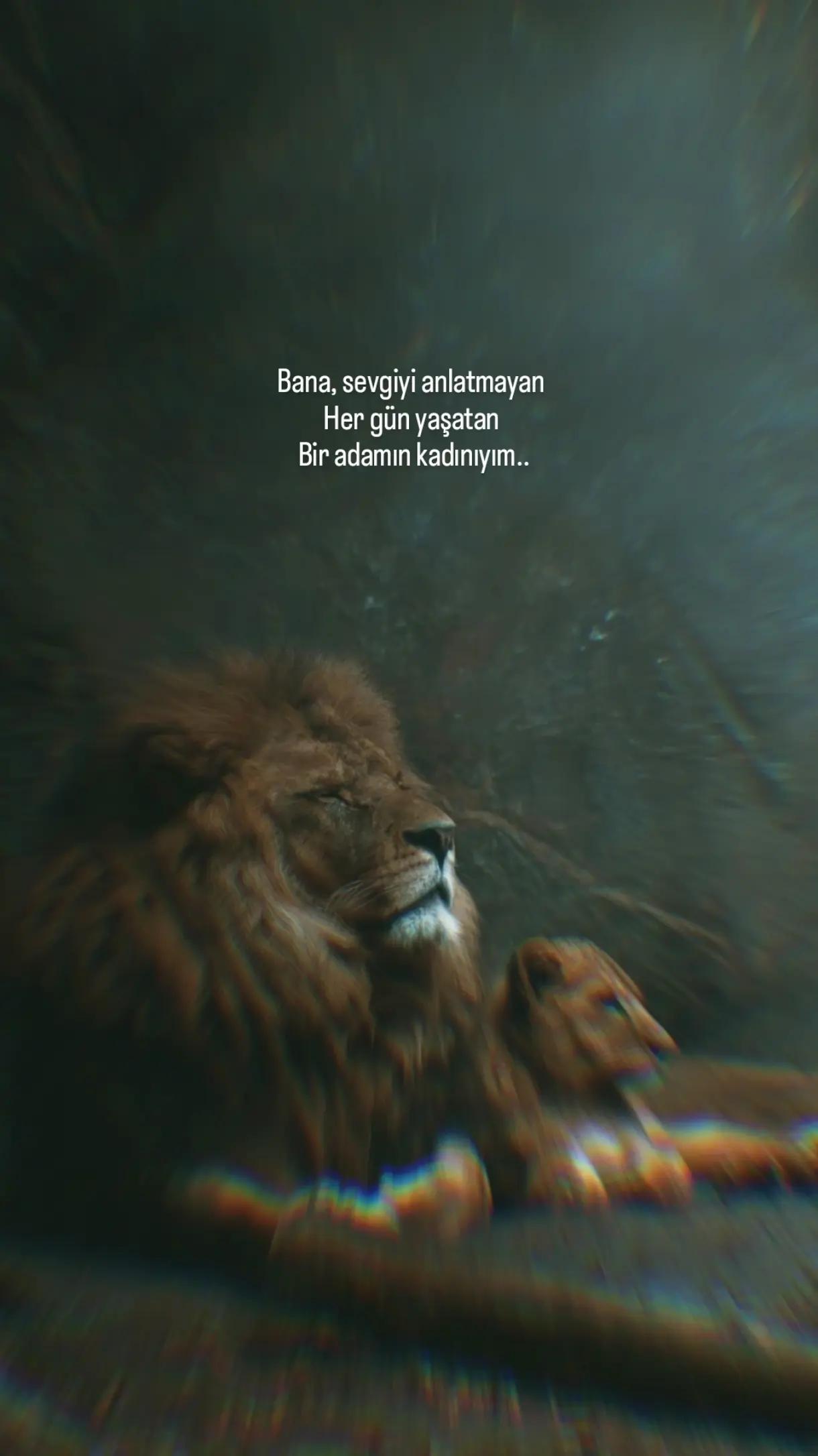 @1siyahsokak