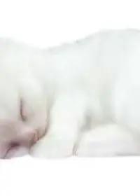 @лирика