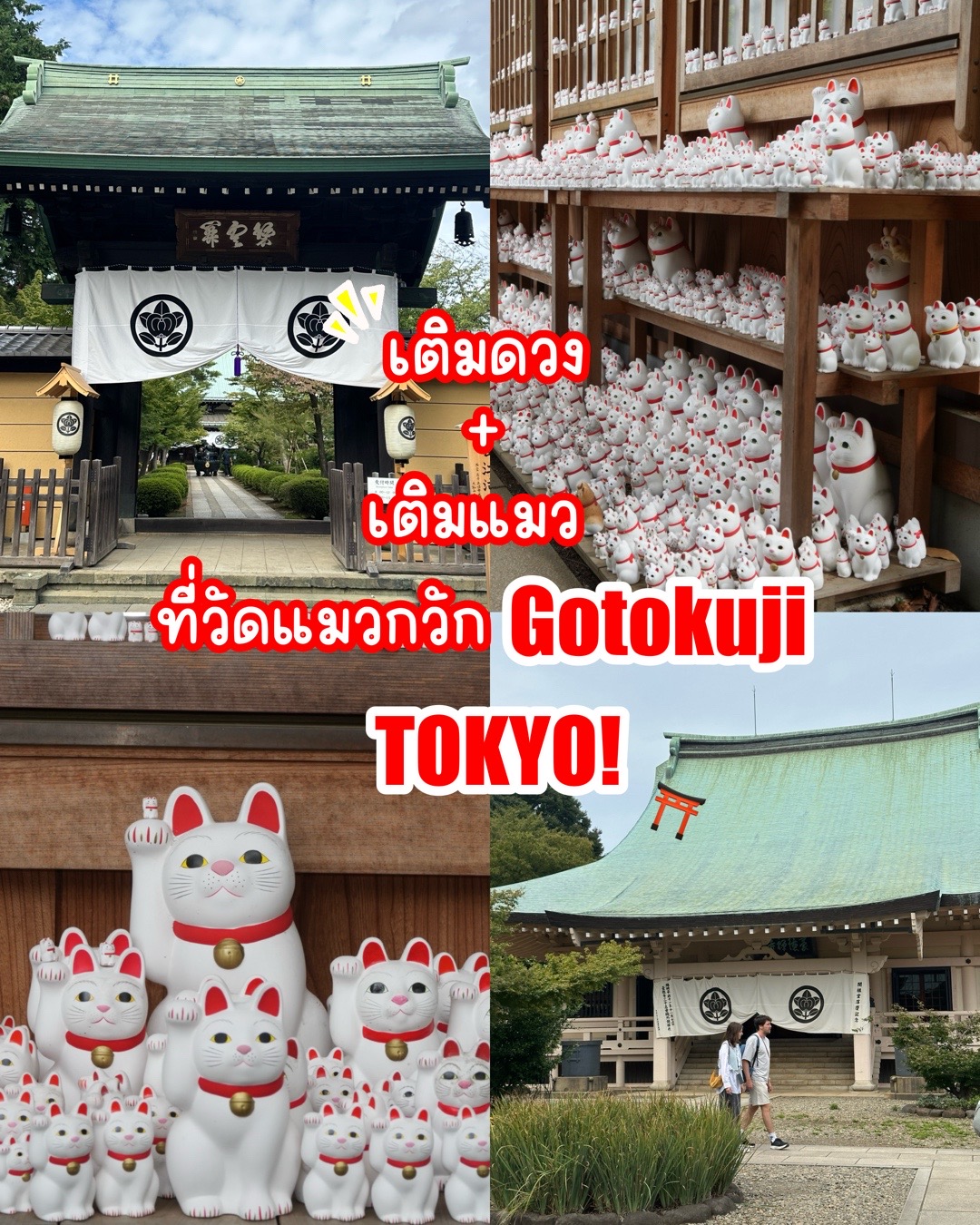 @JapaiJAPAN