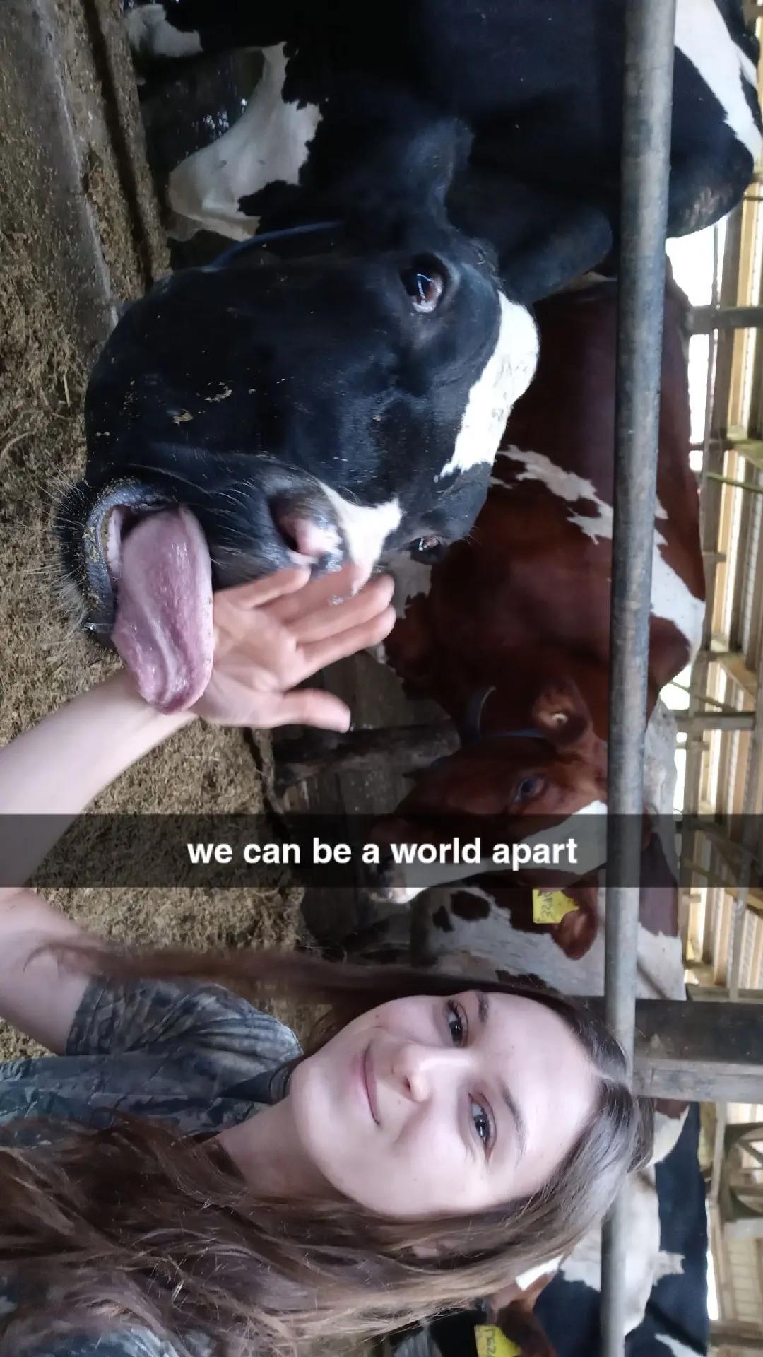 @Dairygirlmel