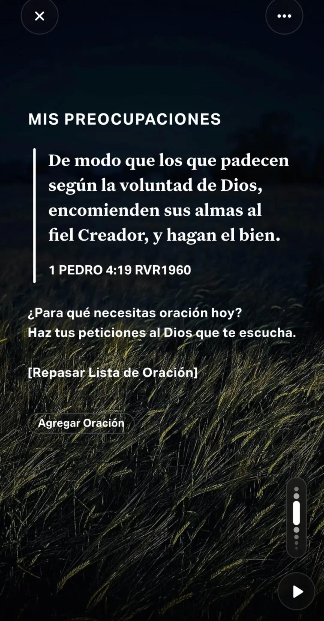 @Jaqueline Dever