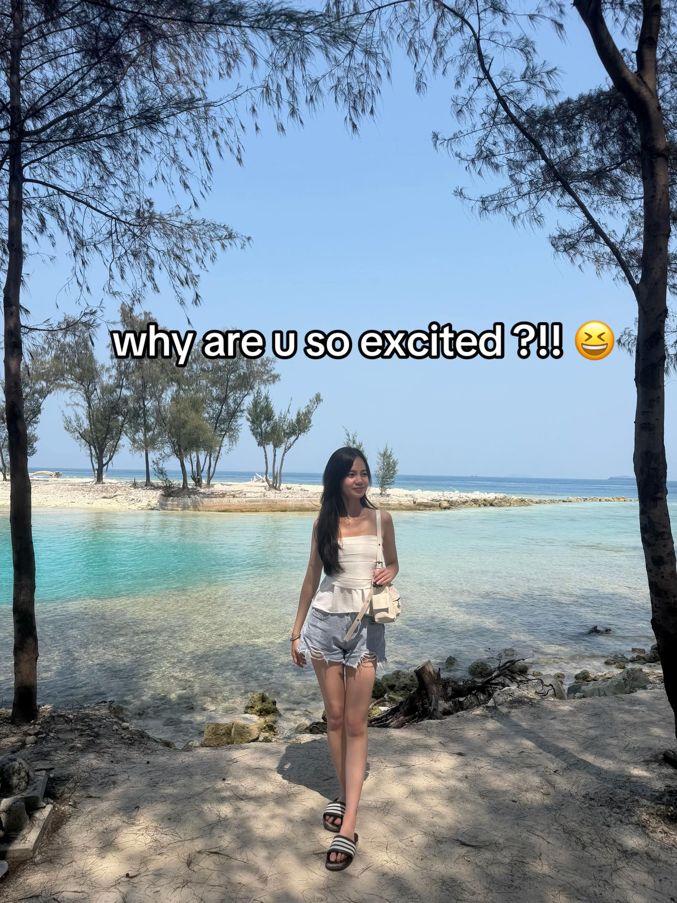 @nikitss