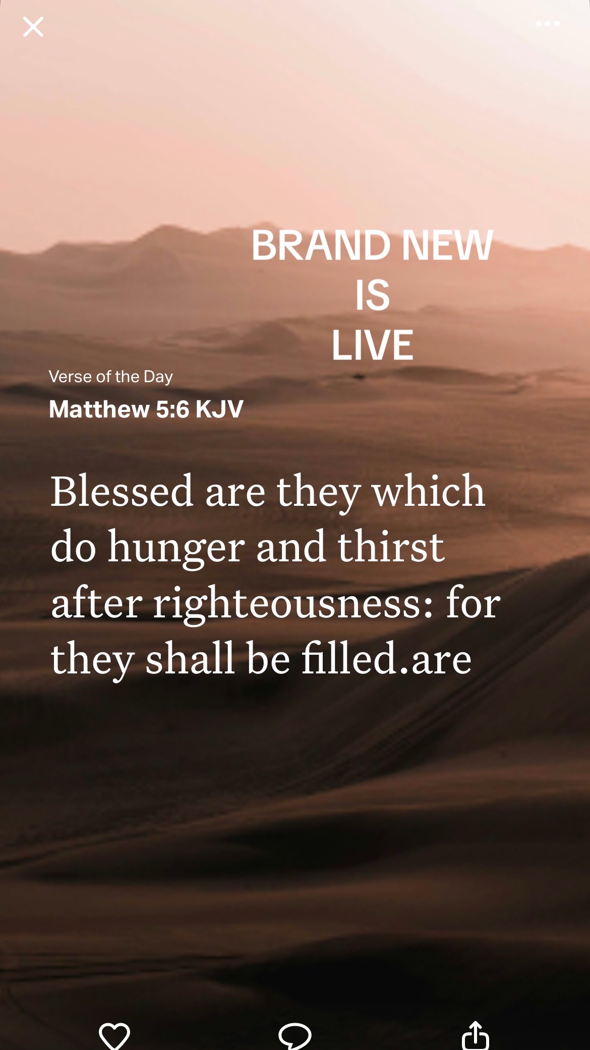 @brandnewme