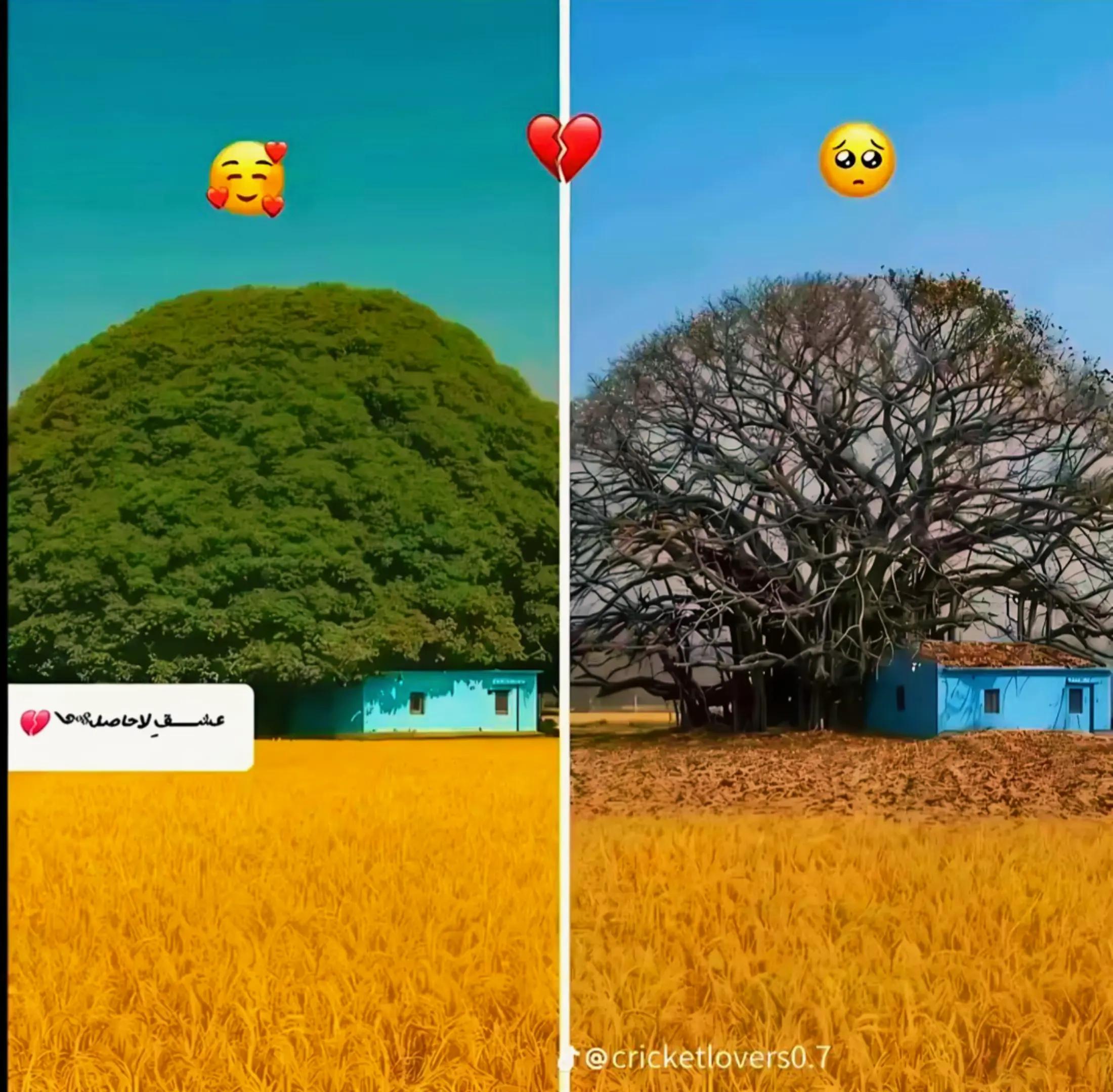 @👑Ꭹᴀᴅᴀꪜ &nbsp;ᥫ᭡