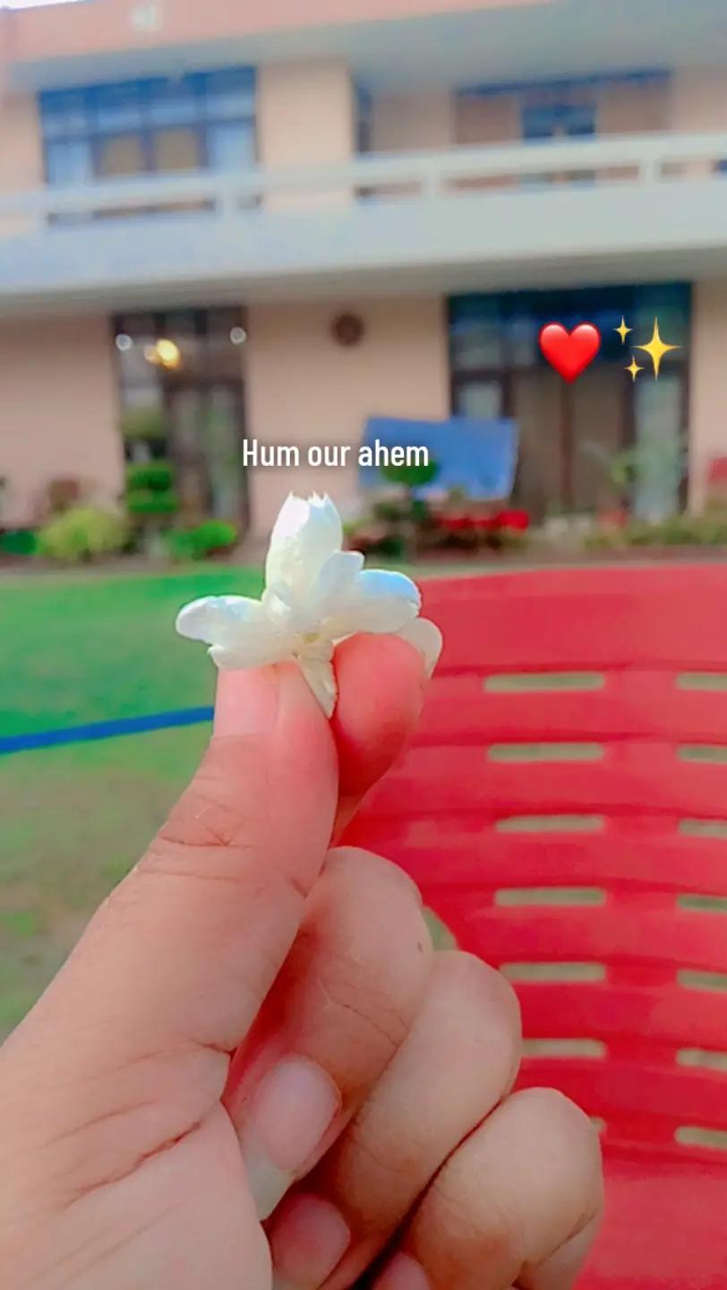 @🕊️⚔️Hammad writes ⚔️🕊️