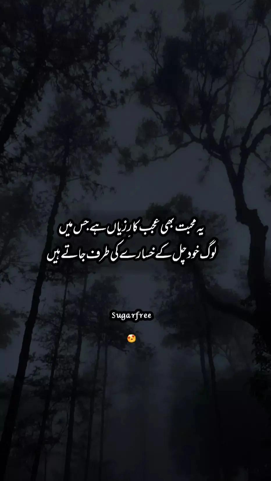 @Taimur Zaheer 🤍