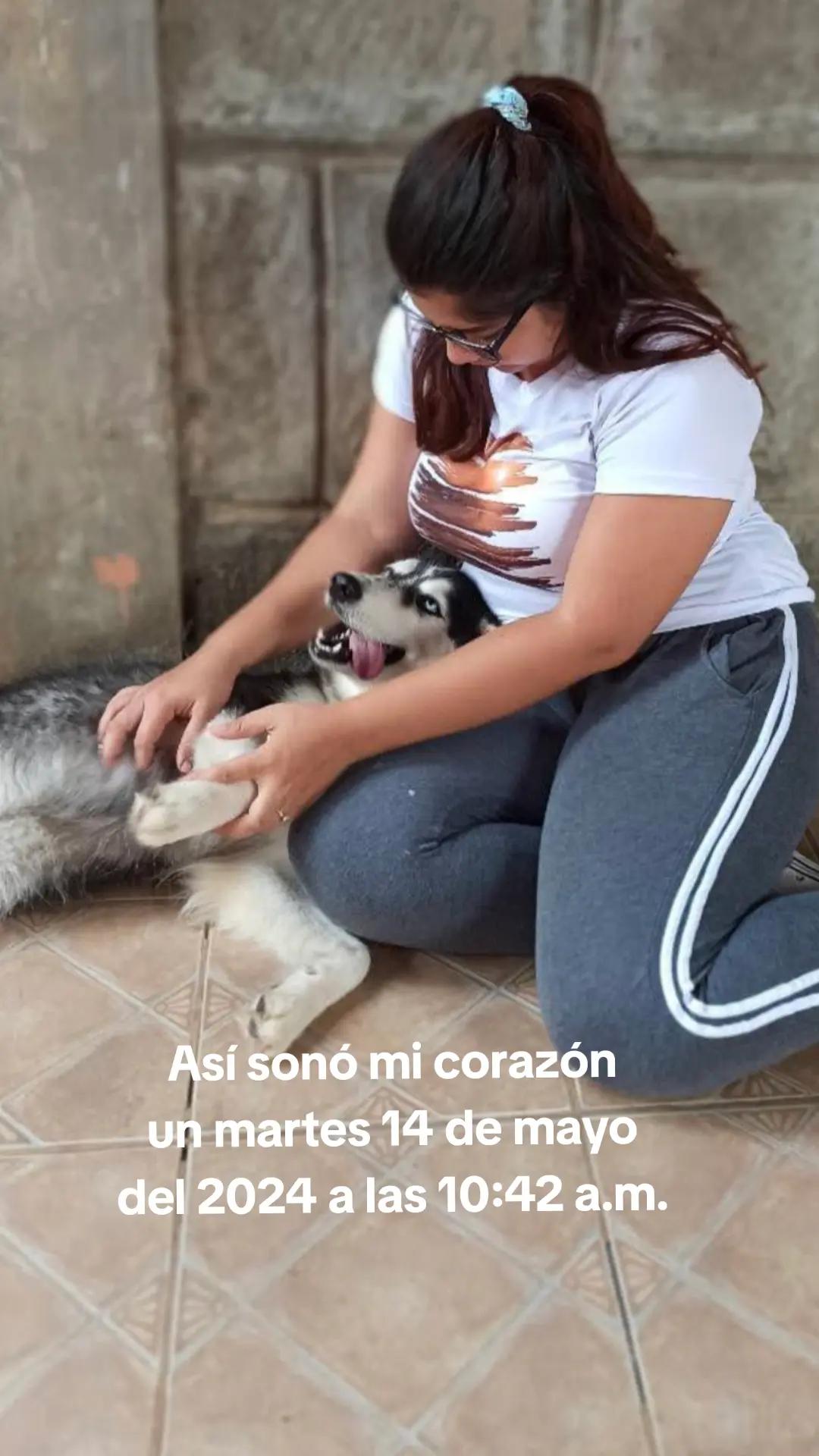 @Urania Pérez