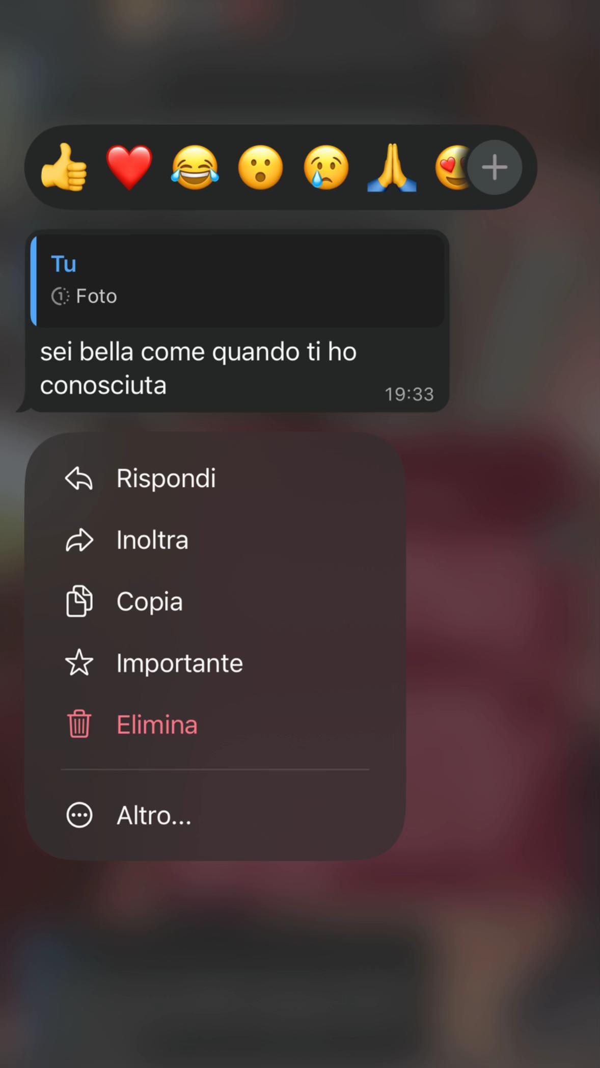 @stellina 🌟
