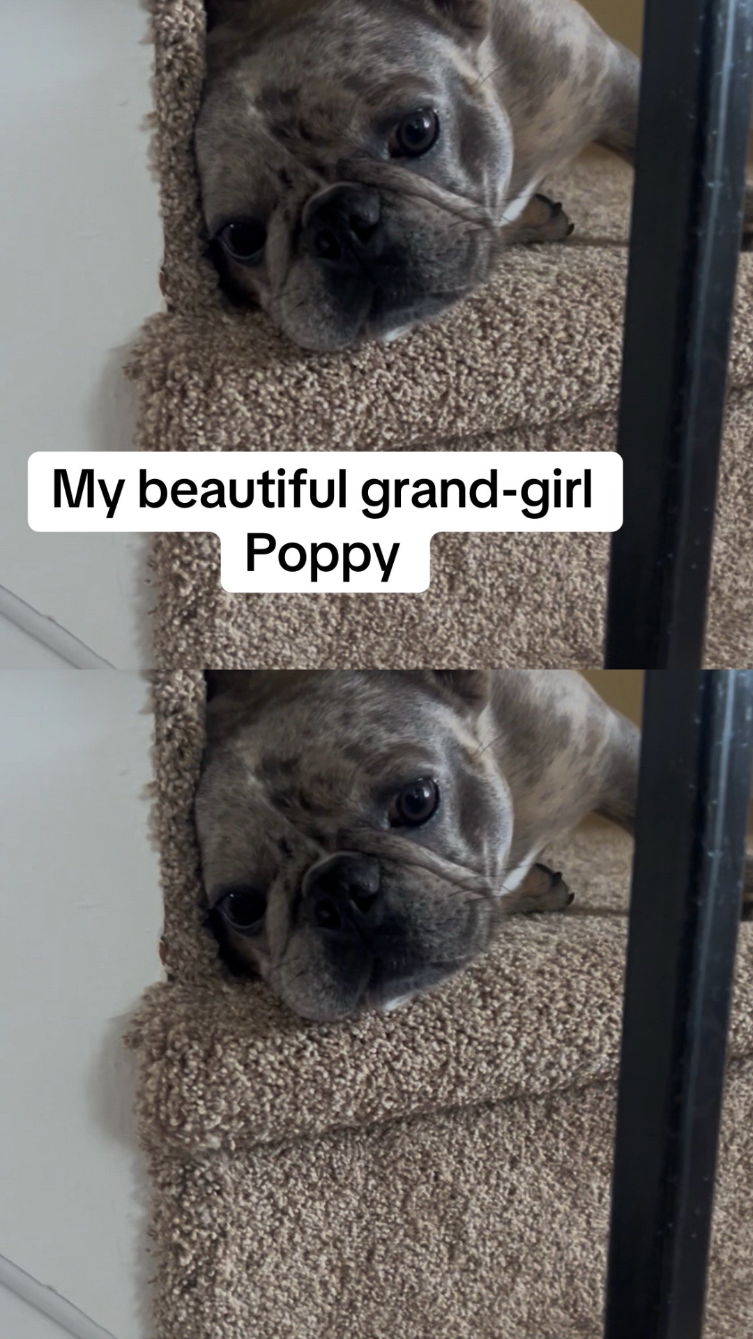 @Kiki