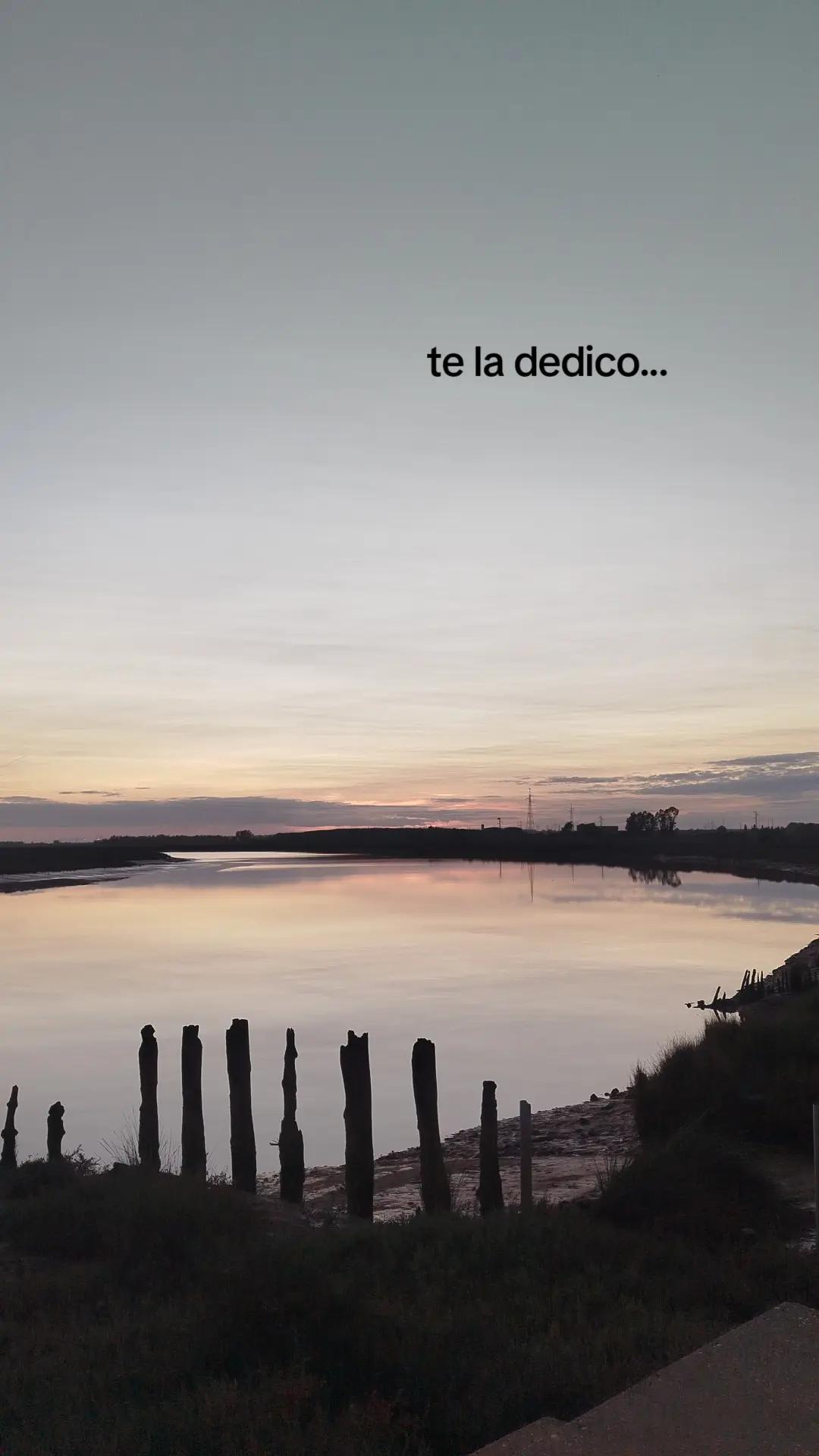 @alejandro