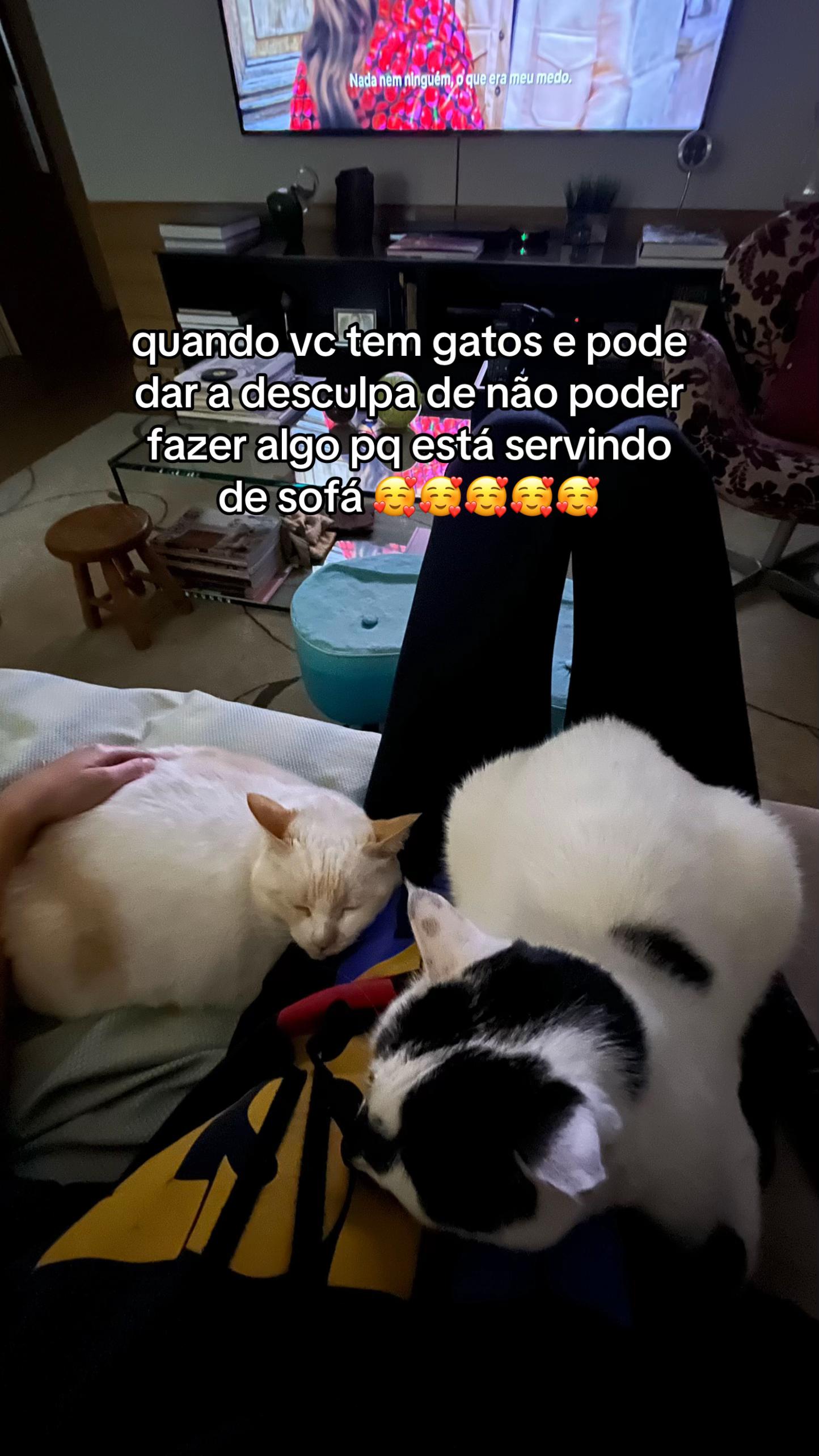 @Marcela | Veganismo & Nutri&ccedil;&atilde;o