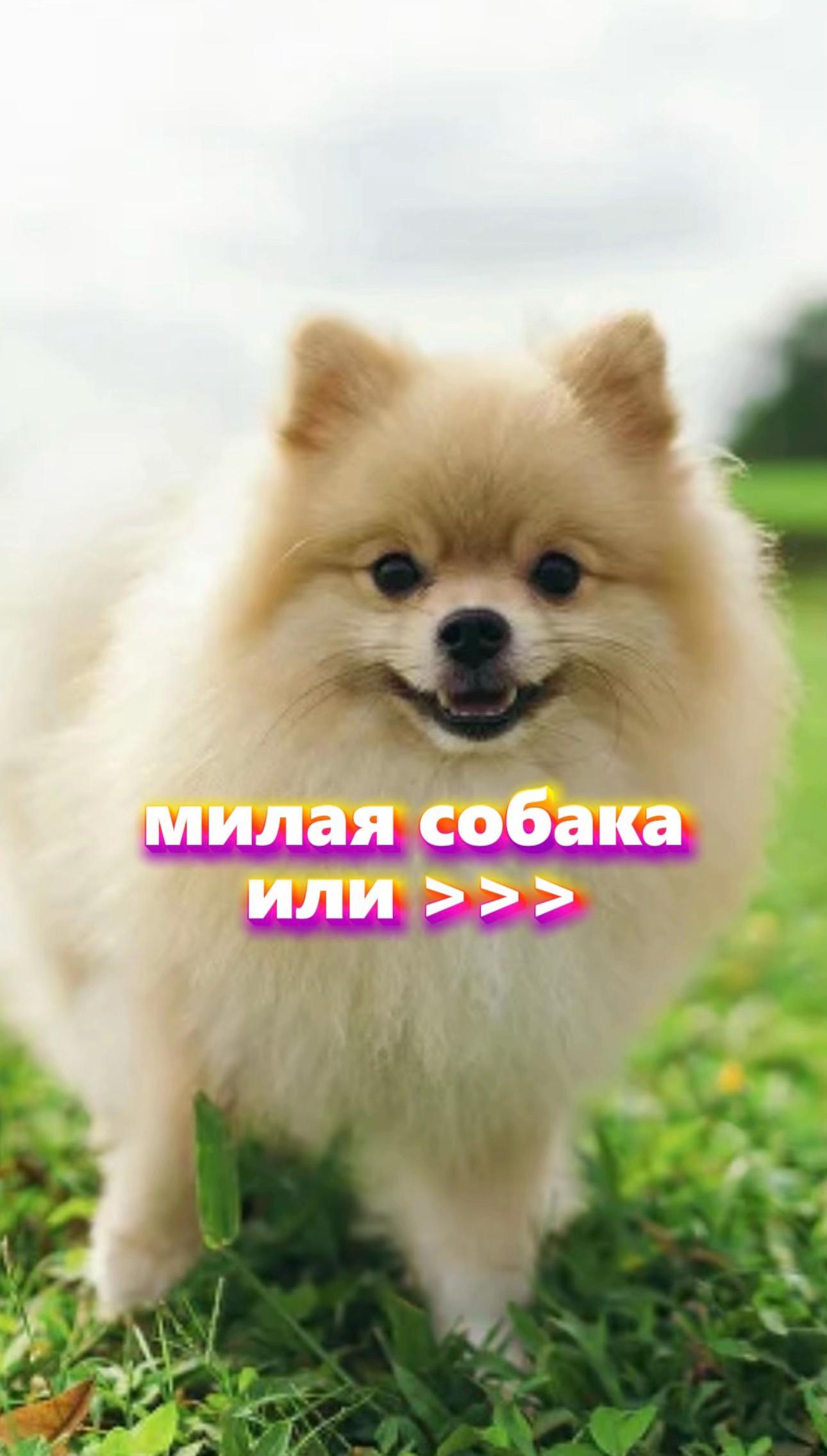 @СМОТРИ ПРОФИЛЬ