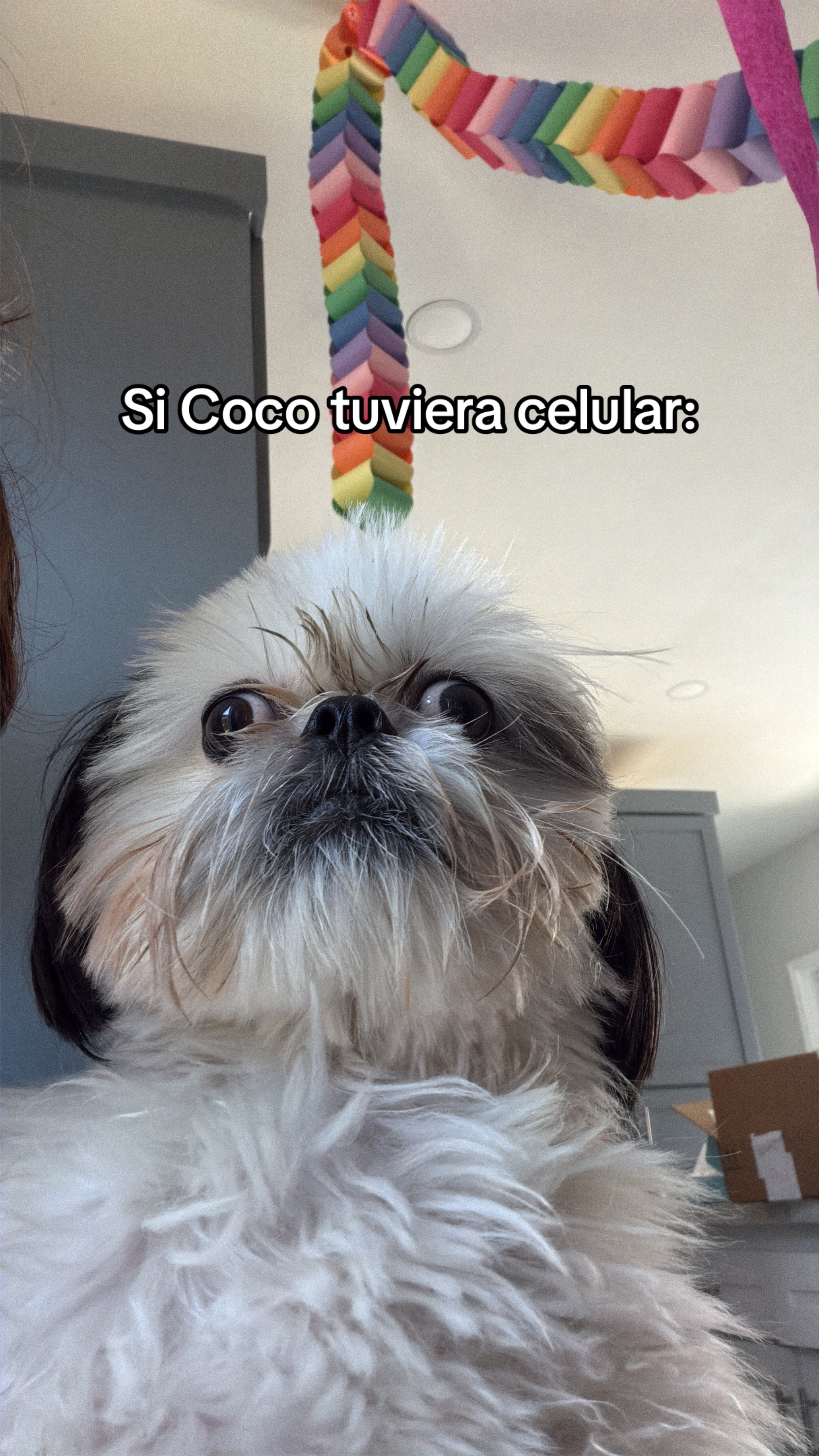 @Coco🥥