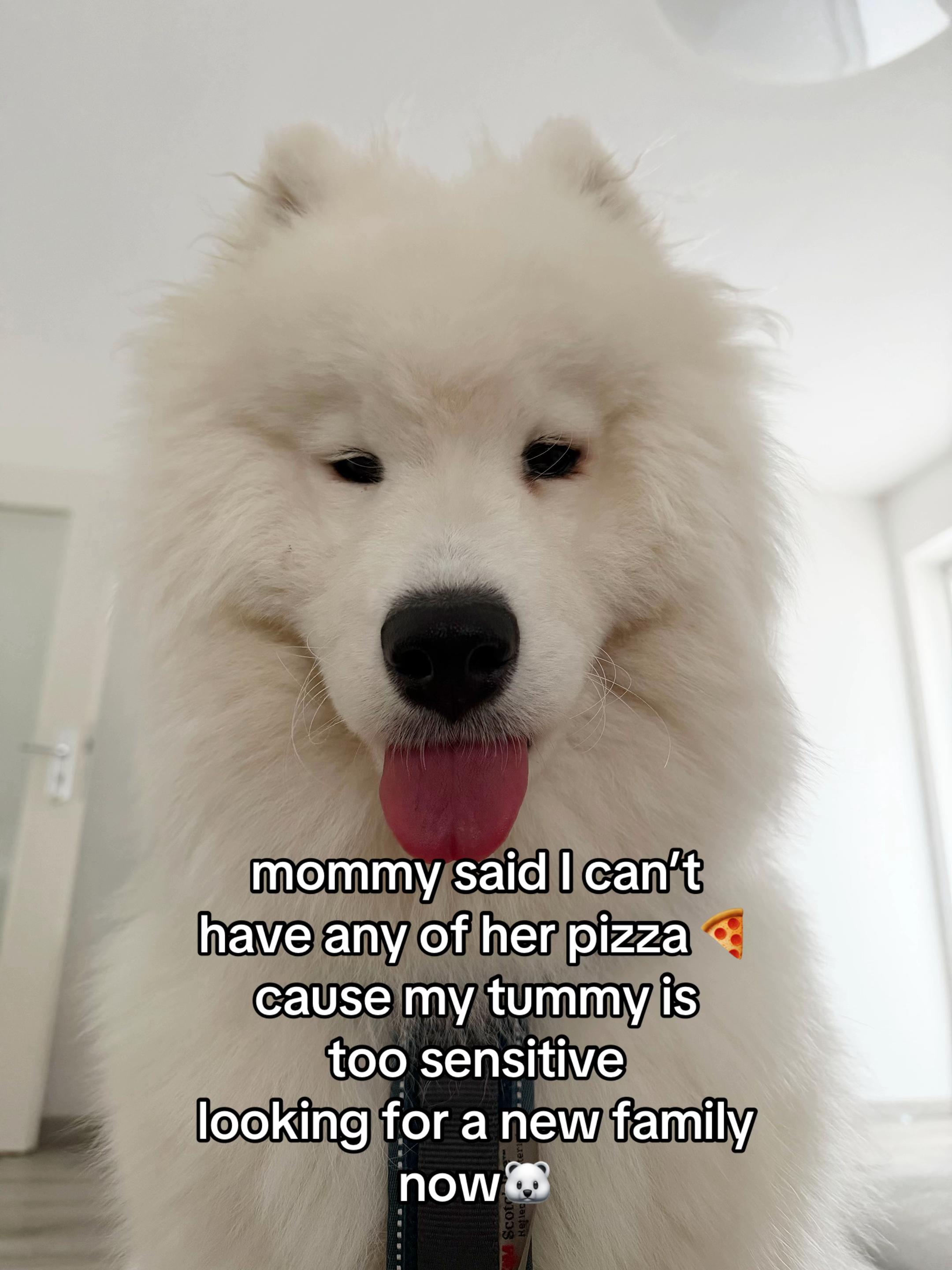 @snowydayswithlio