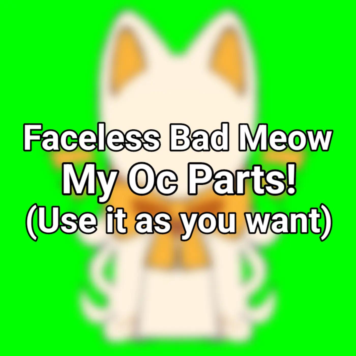 @😺Faceless Bad Meow💛