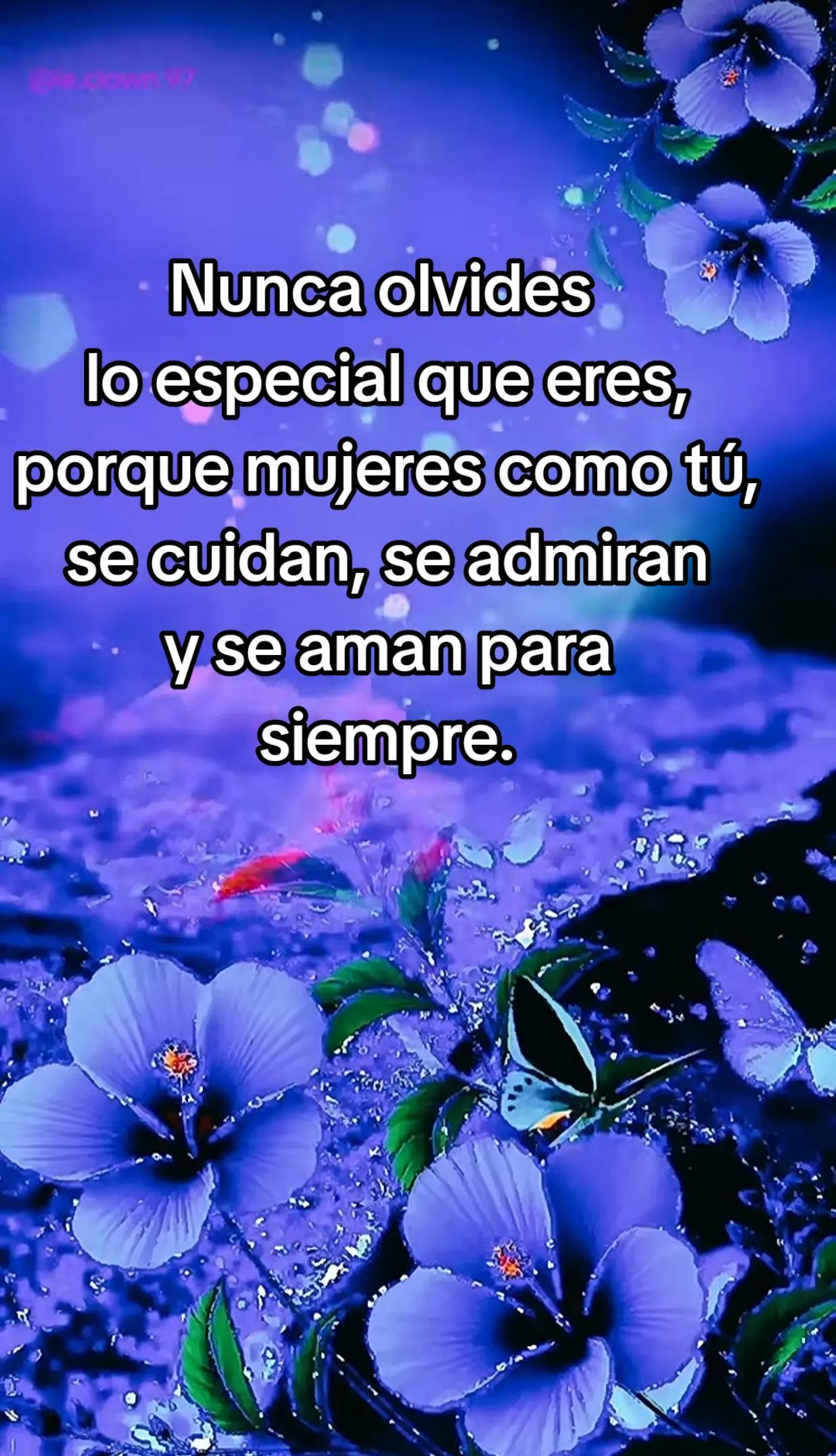 @Rafael V.J.(Lobito)