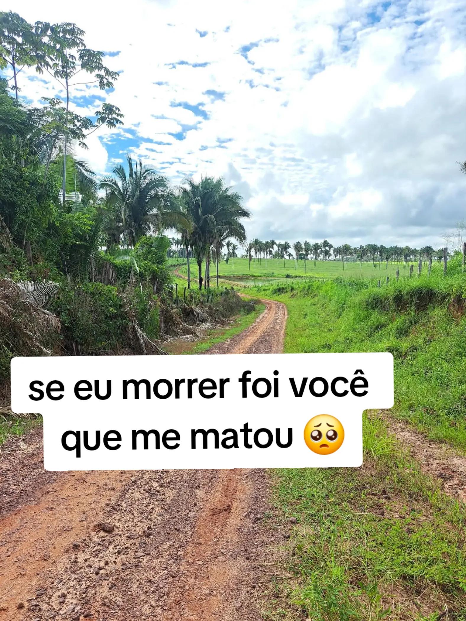 @O menino da estrada