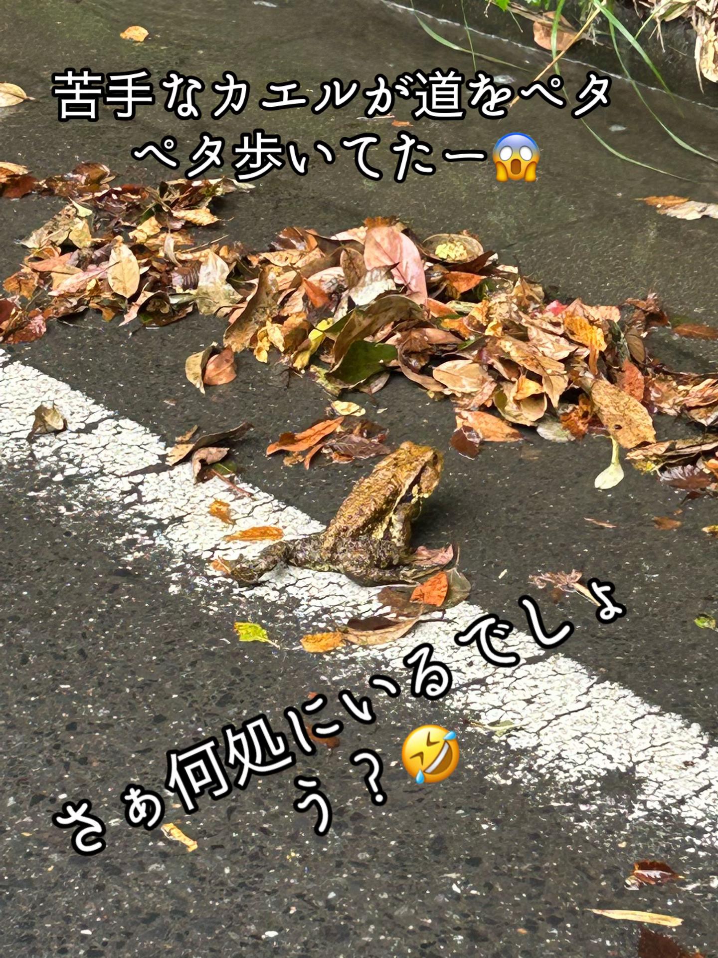 @🌸NAＧISA🌸🚚