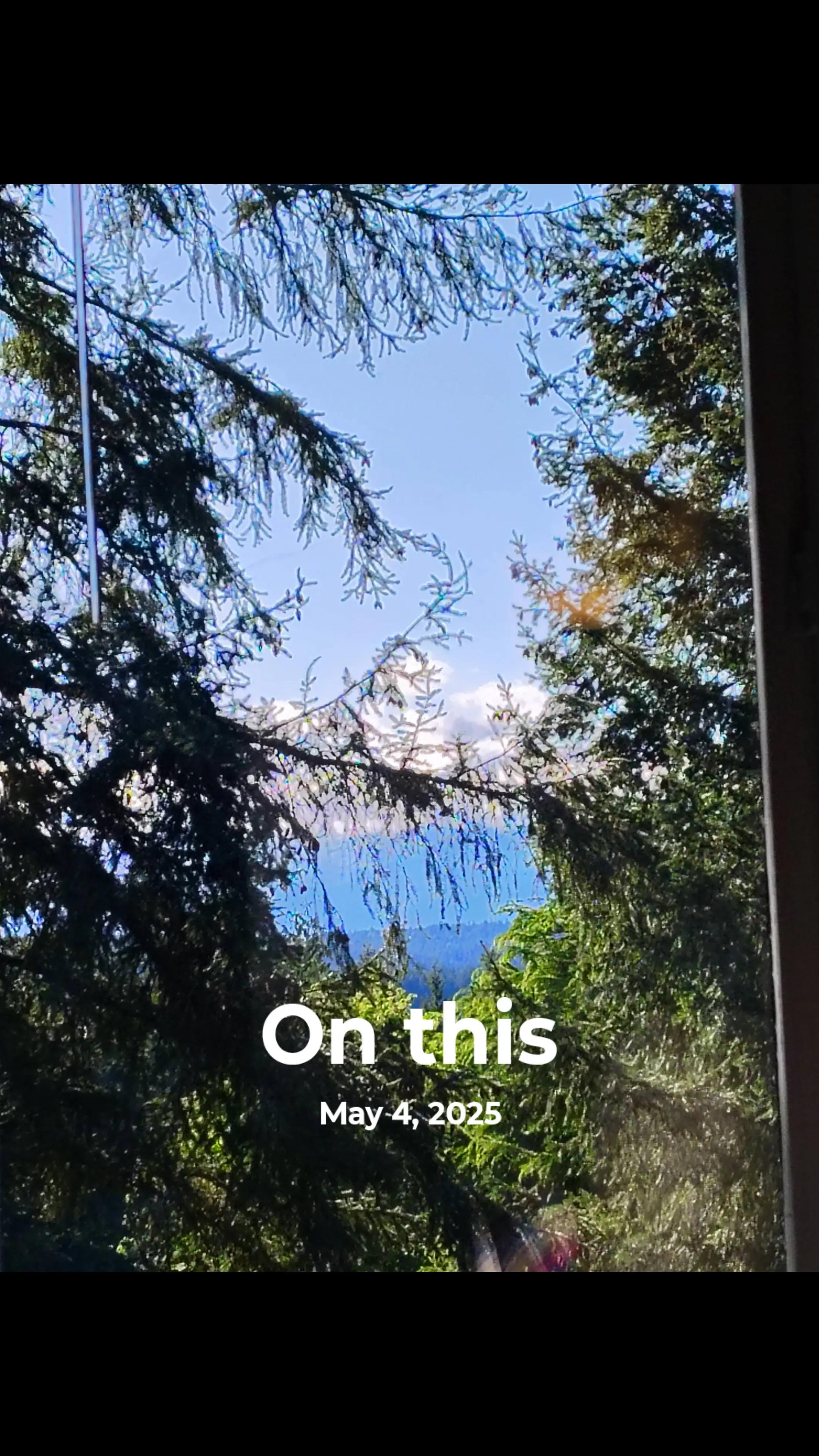 @amelia.torro.smile😀