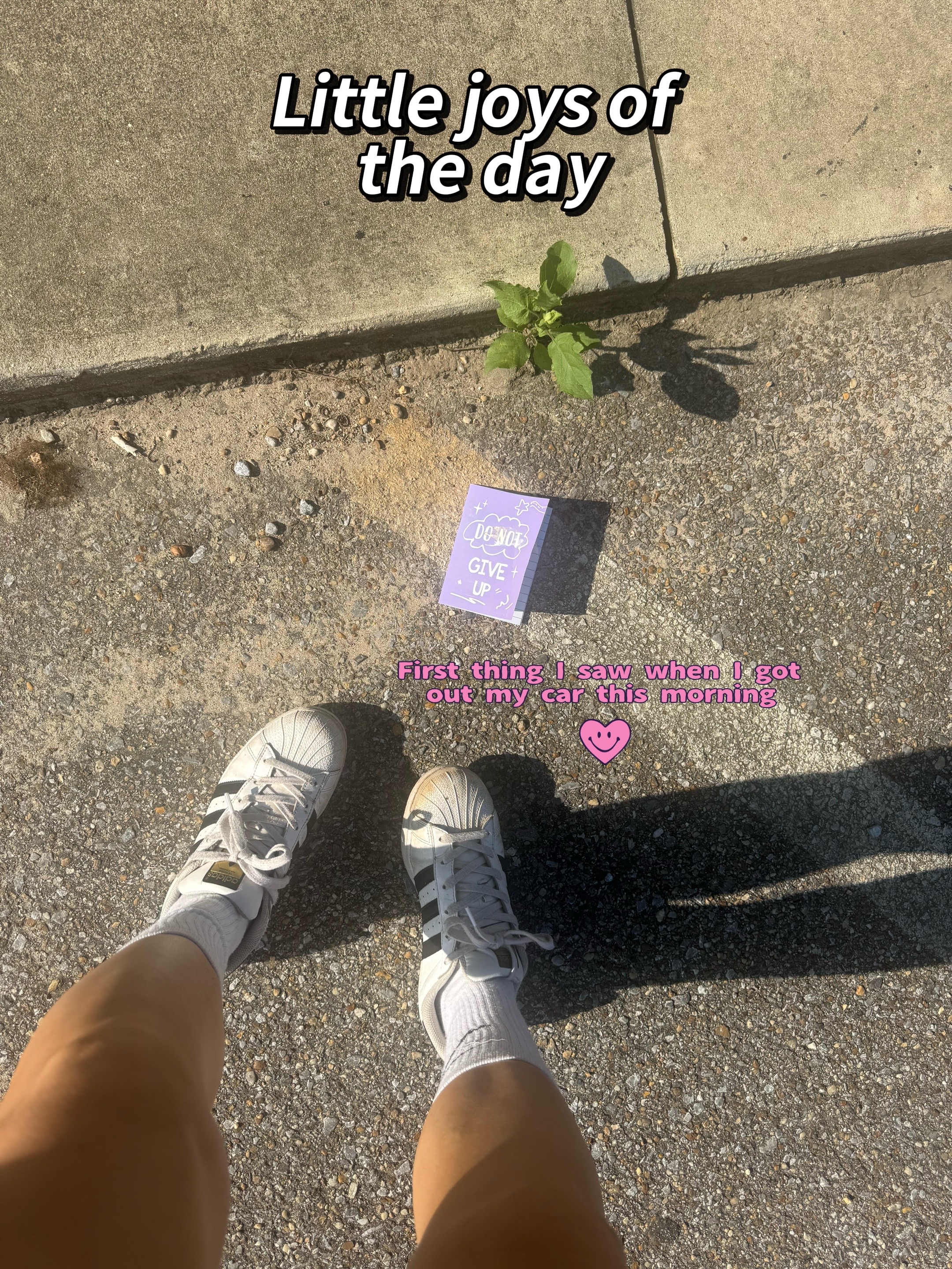 @Lia