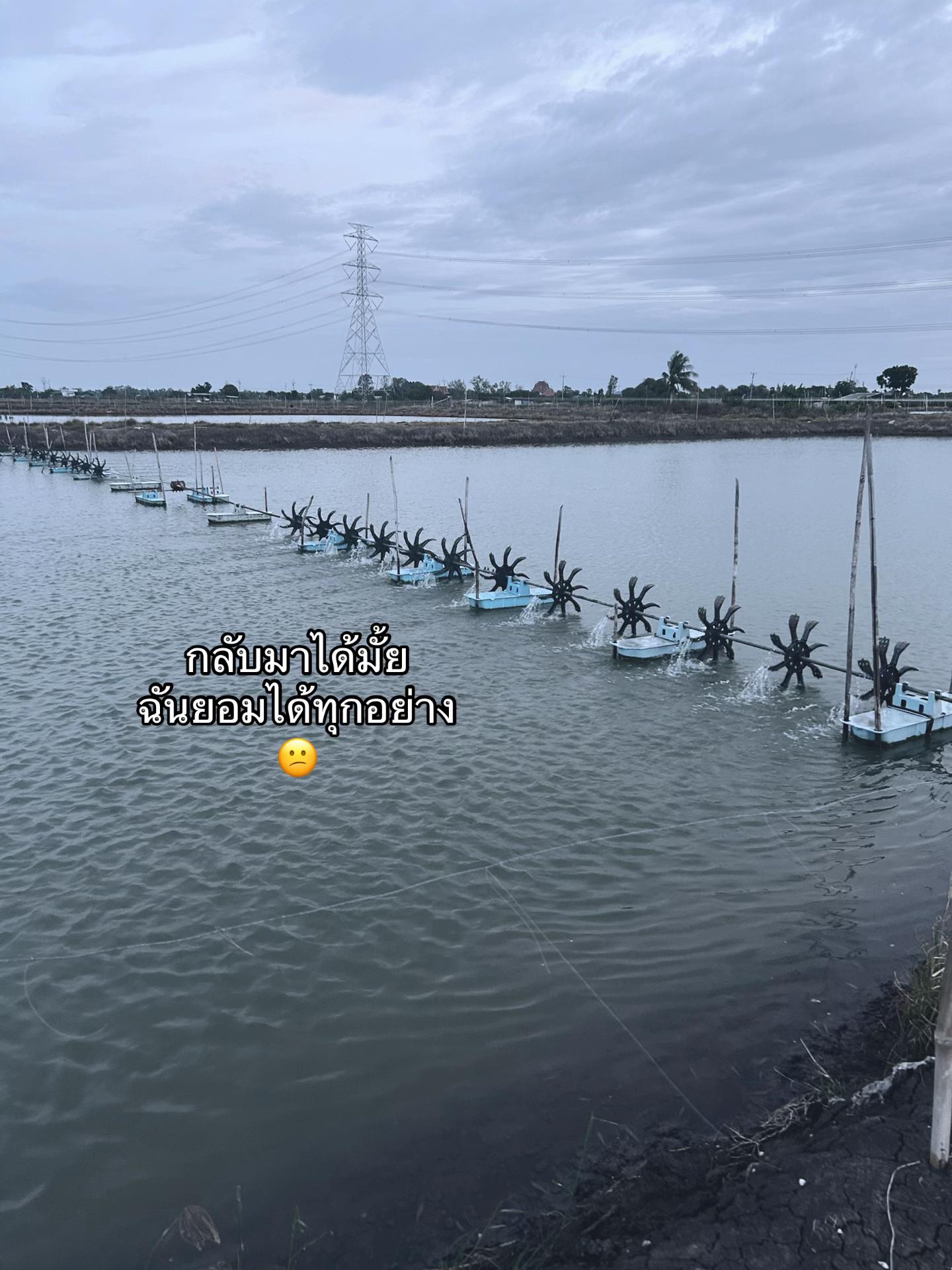 @เธรด🥸🫶🏻