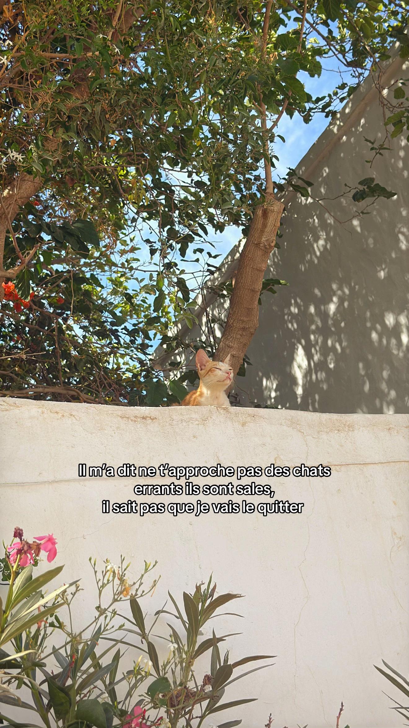 @ส•y