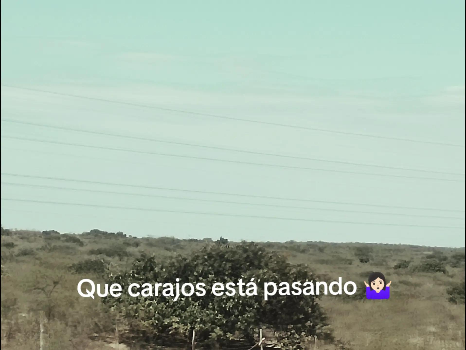 @shaory.vidal.lopez
