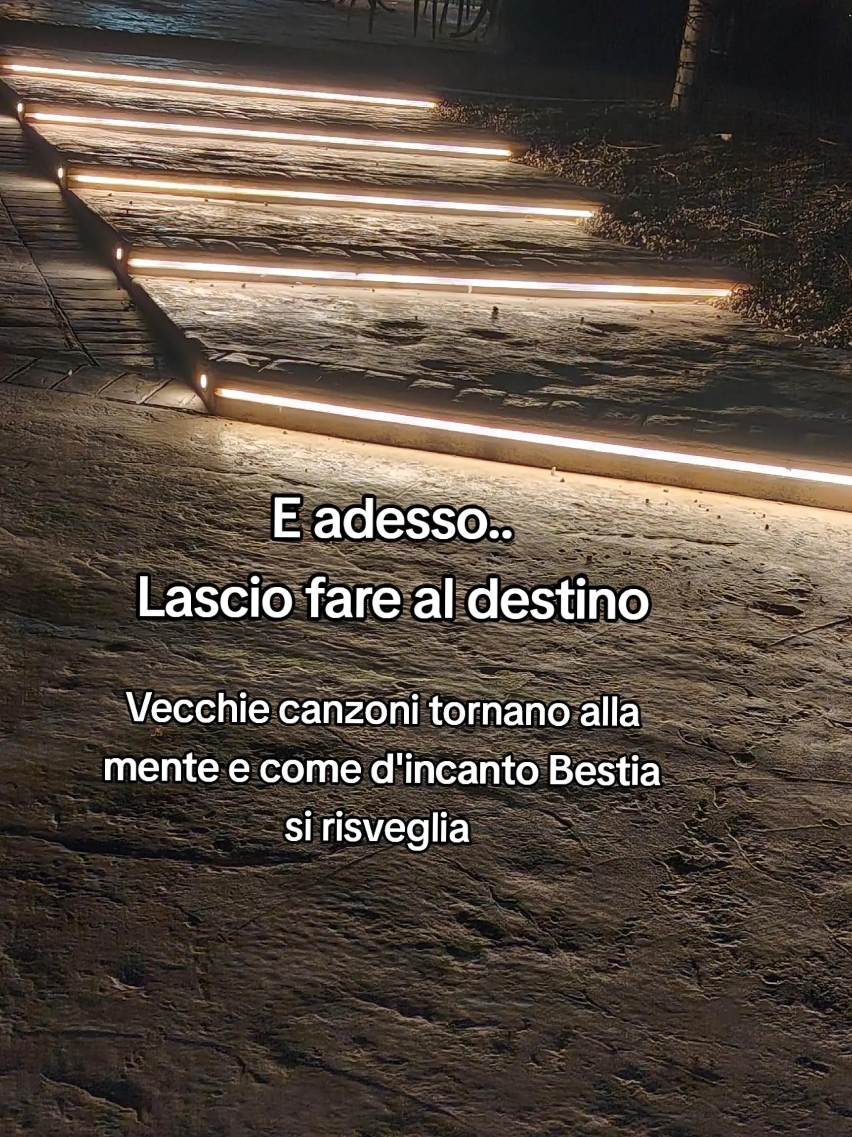 @Oo.Bestia.oO