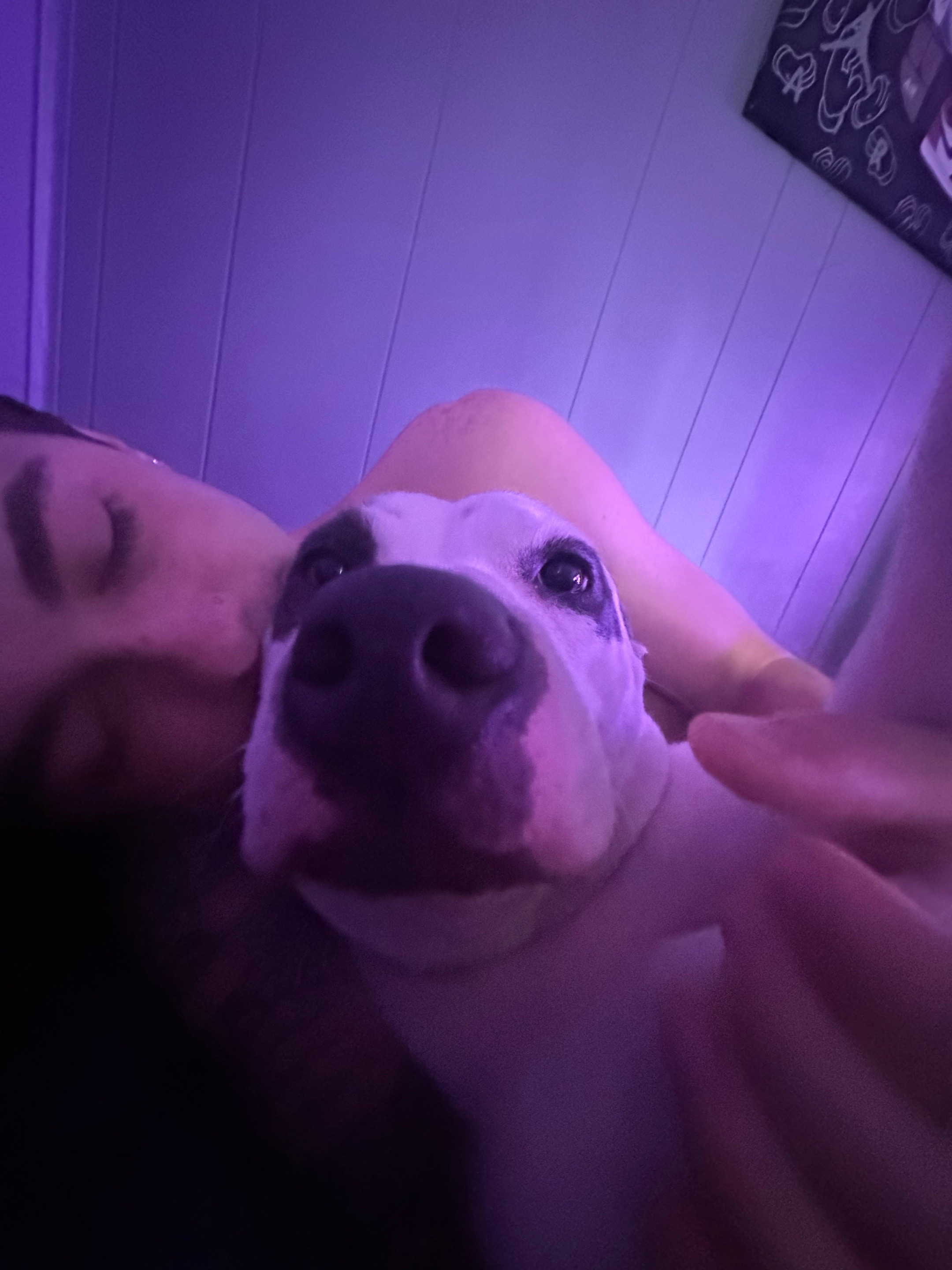 @sophia&ensp;angelina