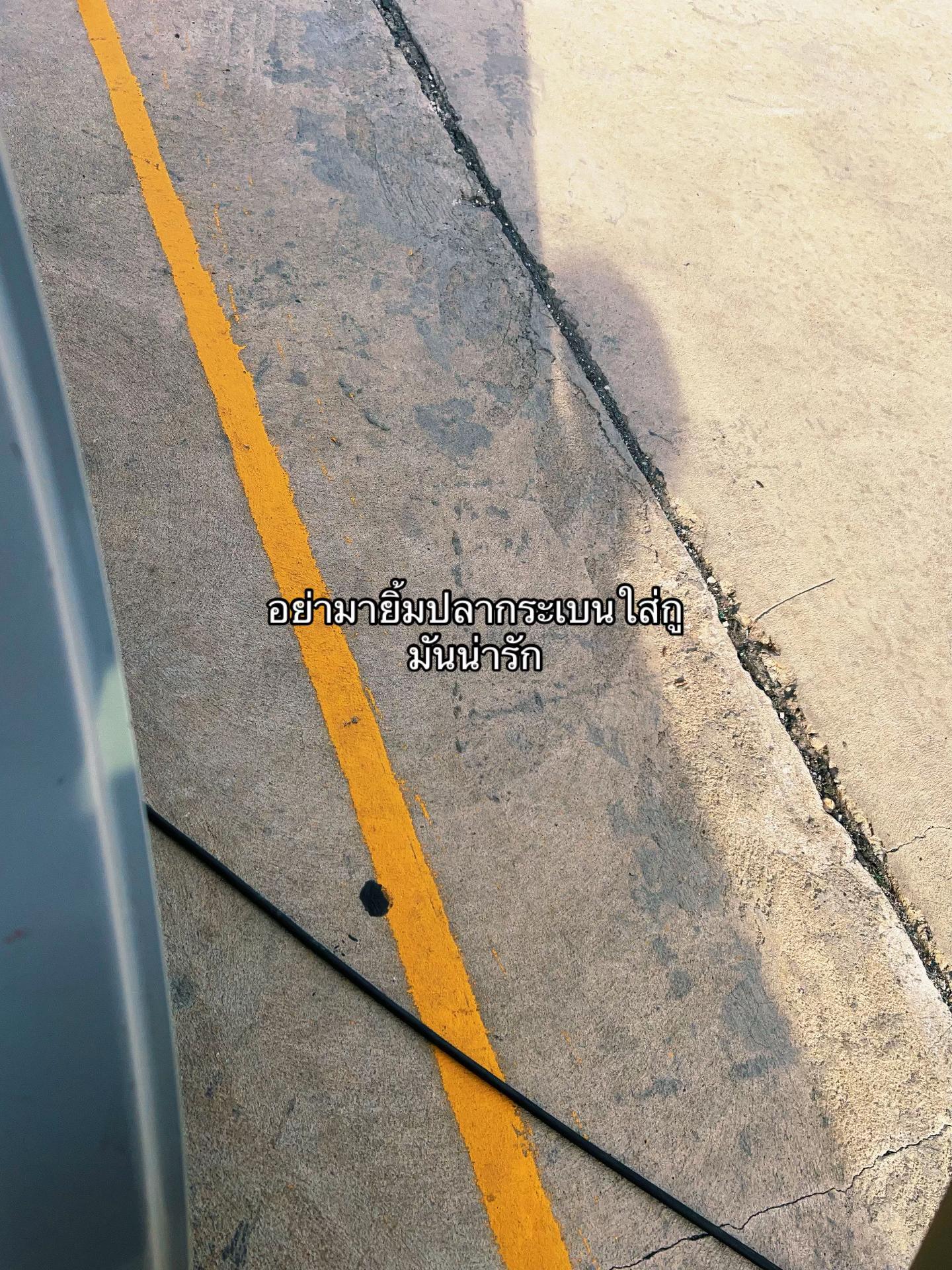 @อย่ามาชิวาว่า