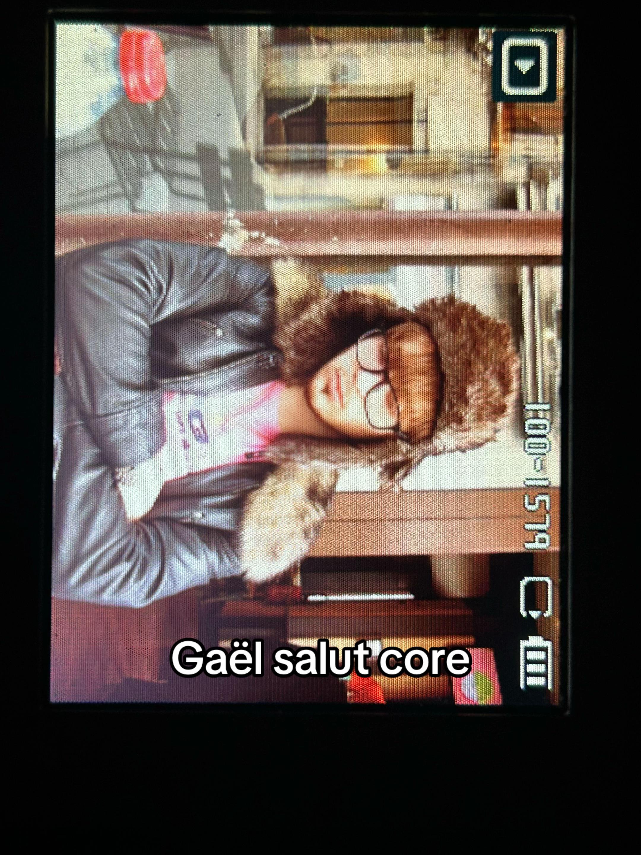 @gaelsalut