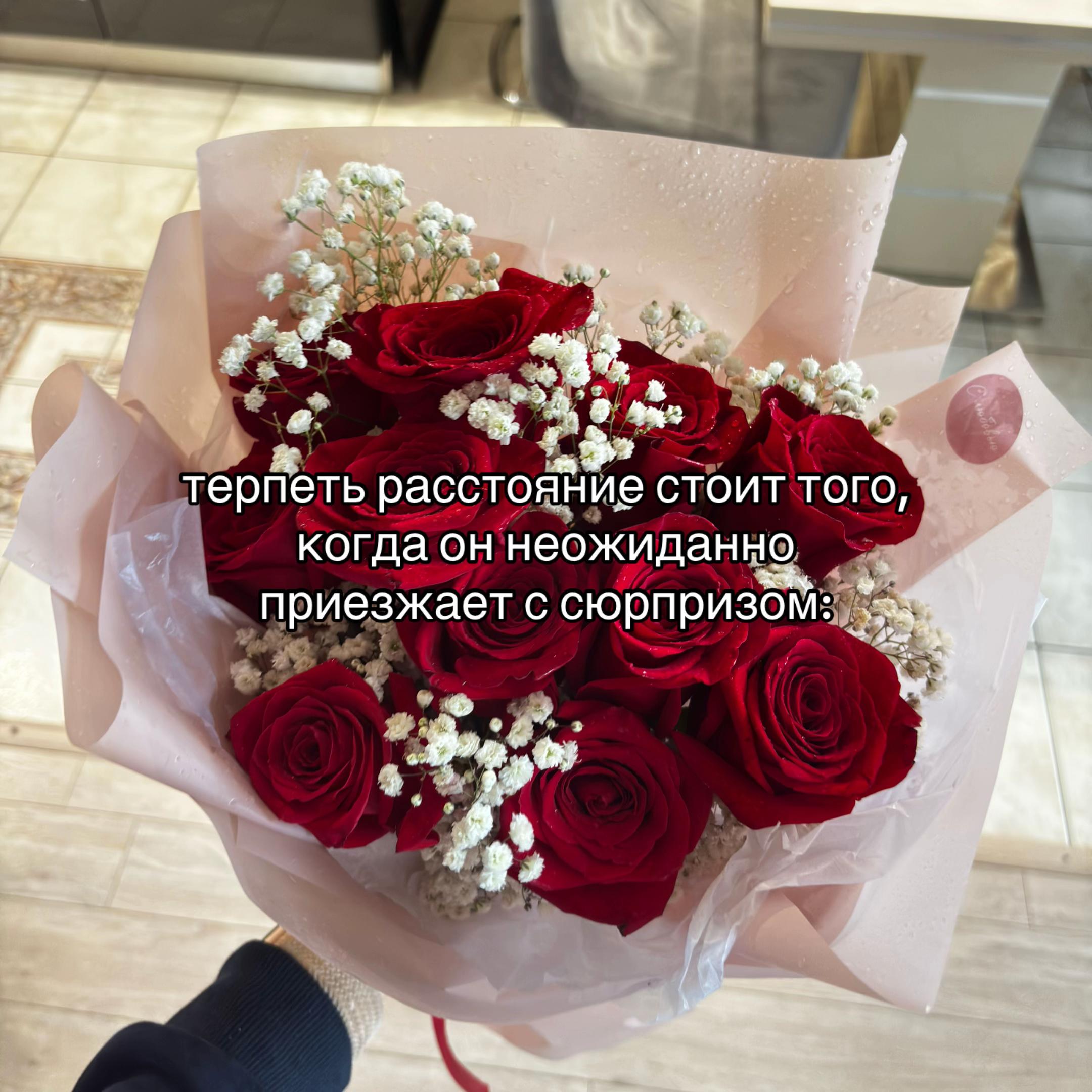 @ТГК: КУДРЯШКА ДИ