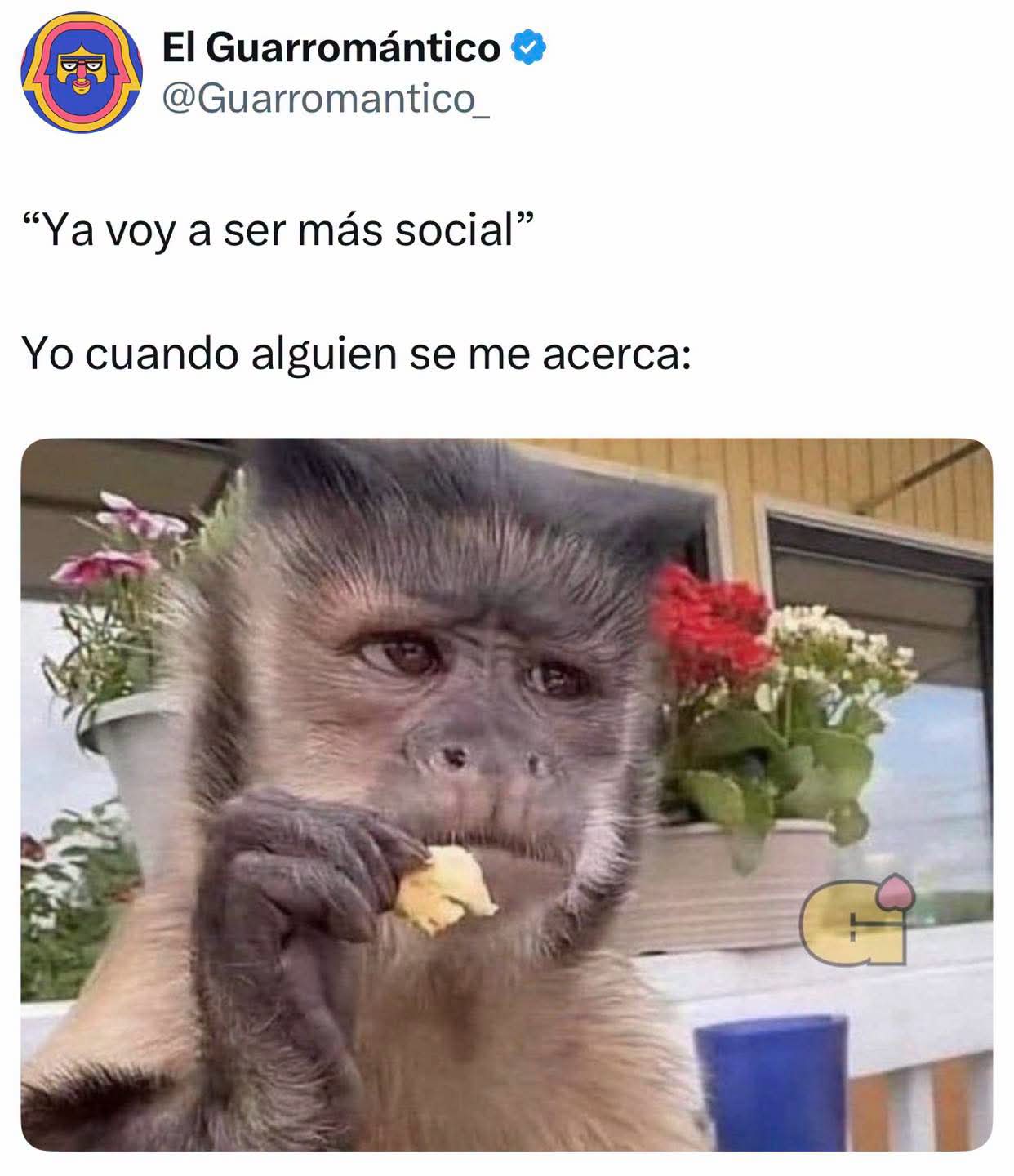 @✨bubble gum✨