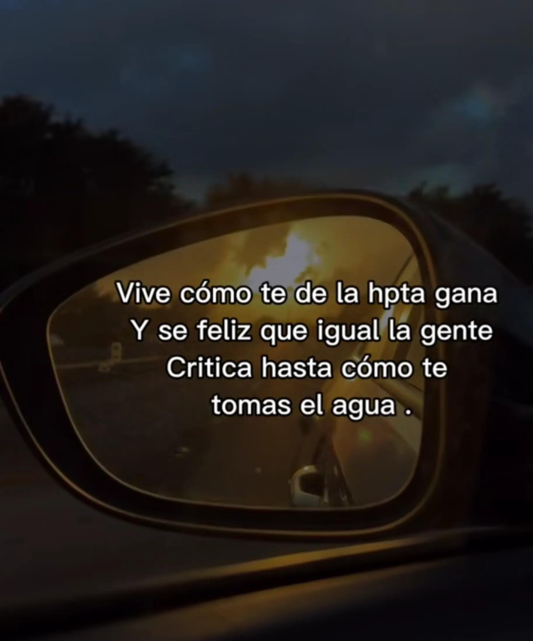 @alileiva ✨🌺🫀🧠🥂