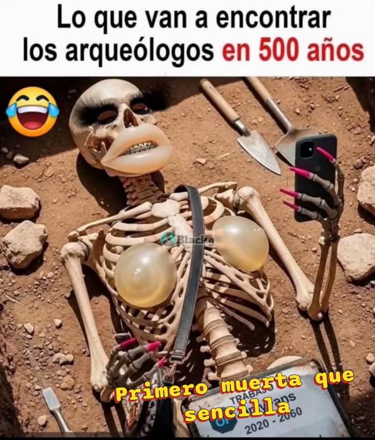 @lechuga7316