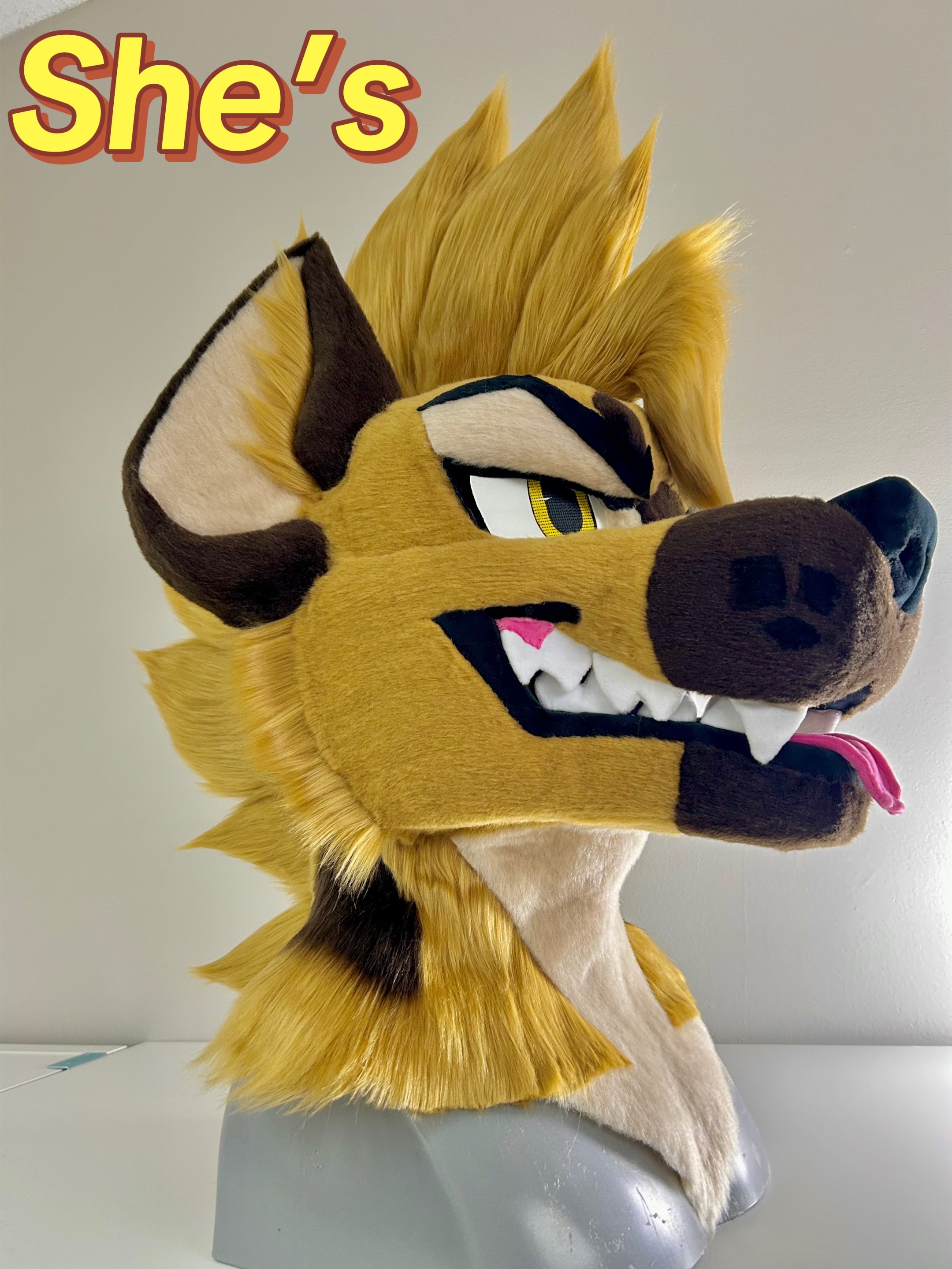 @Dr. Rood Hyena 🇲🇽
