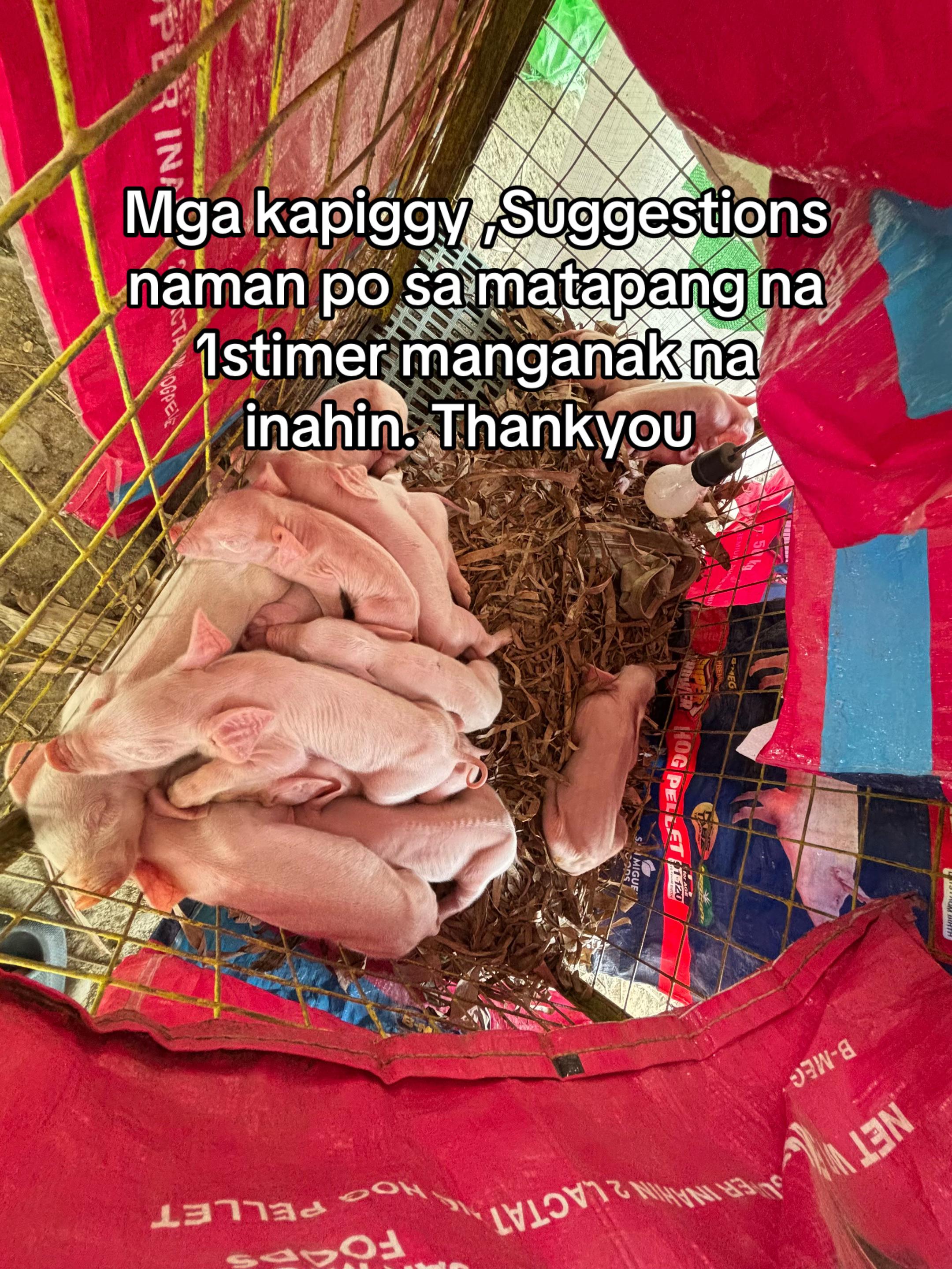 @Jhon Mark Daludado