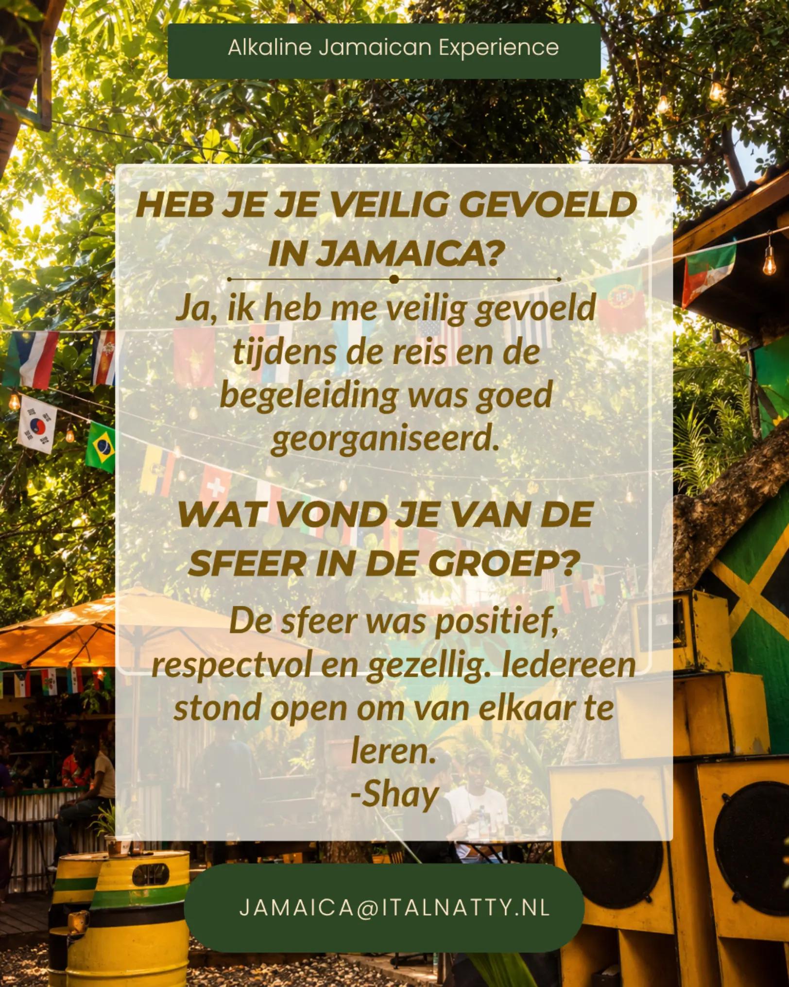 @Ital Natty