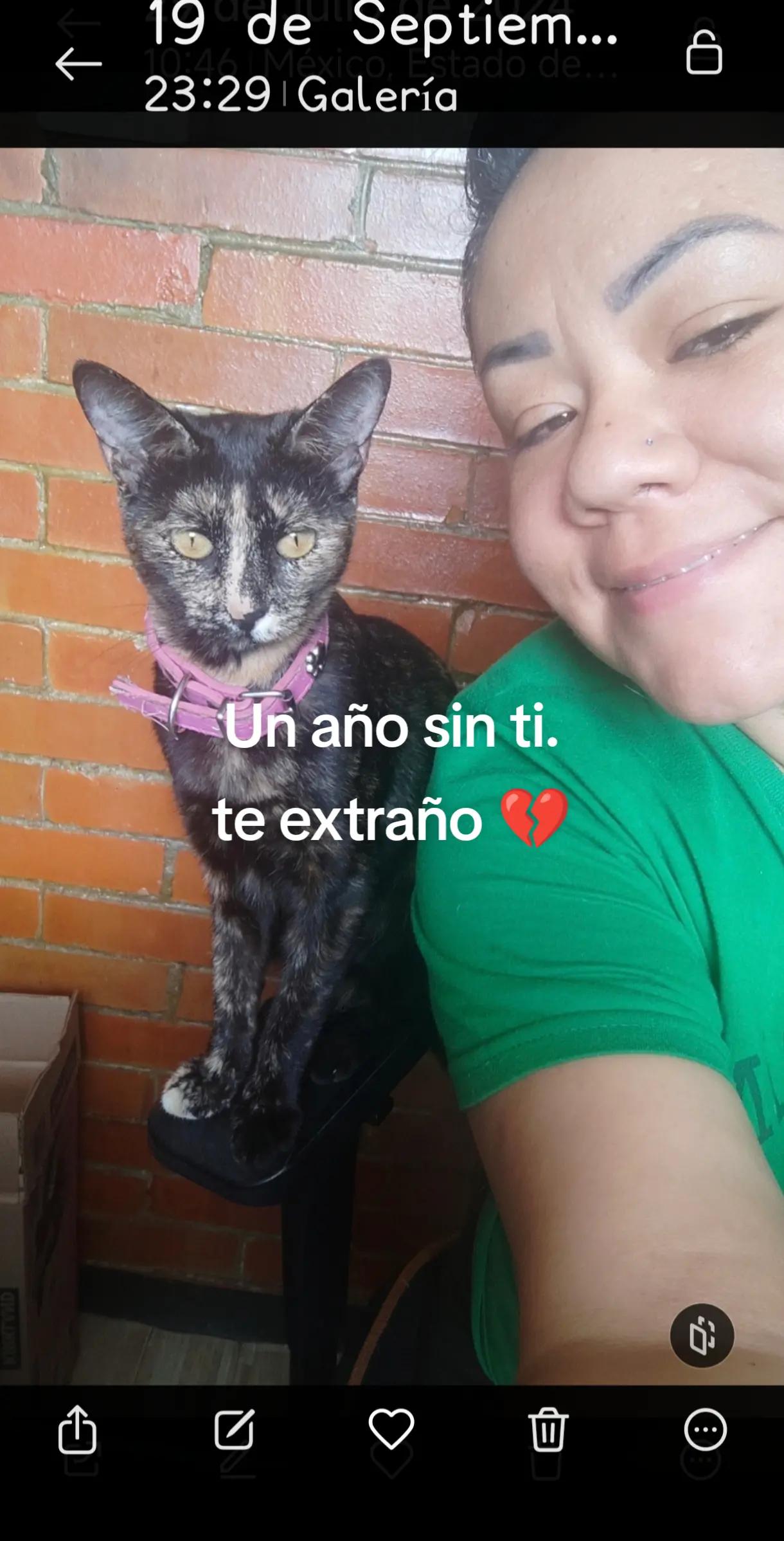 @Melissa Neri