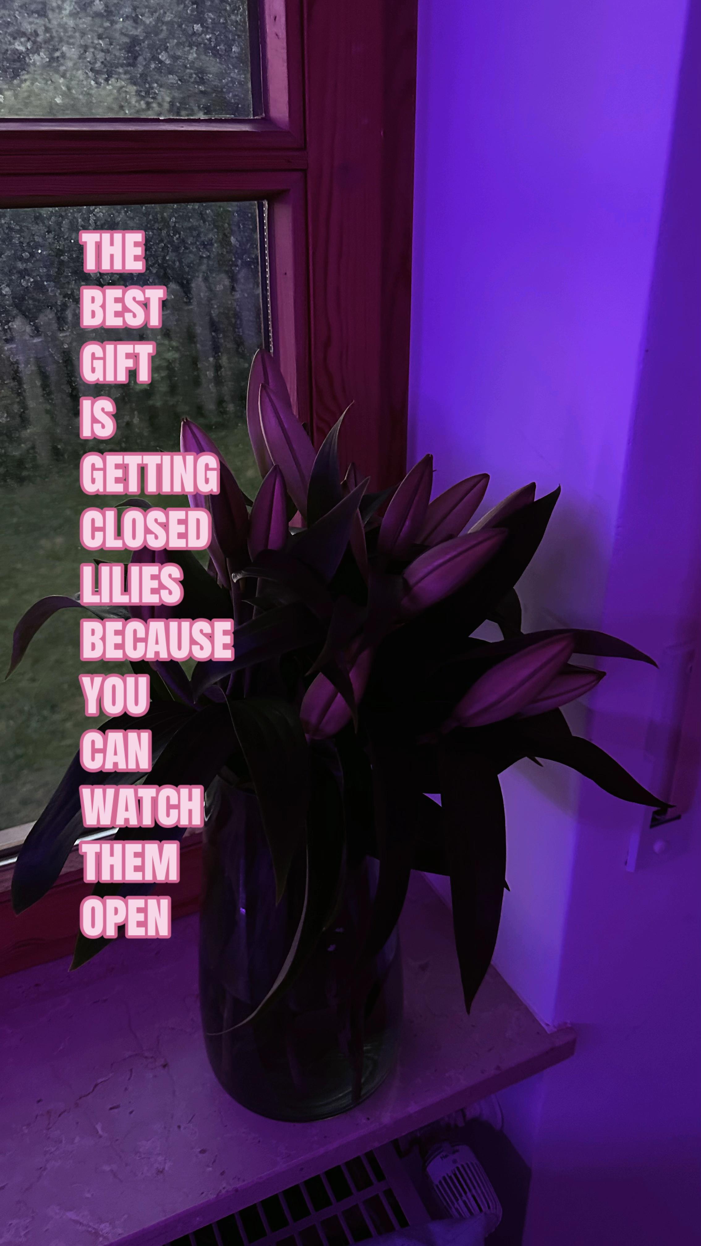 @ℒ