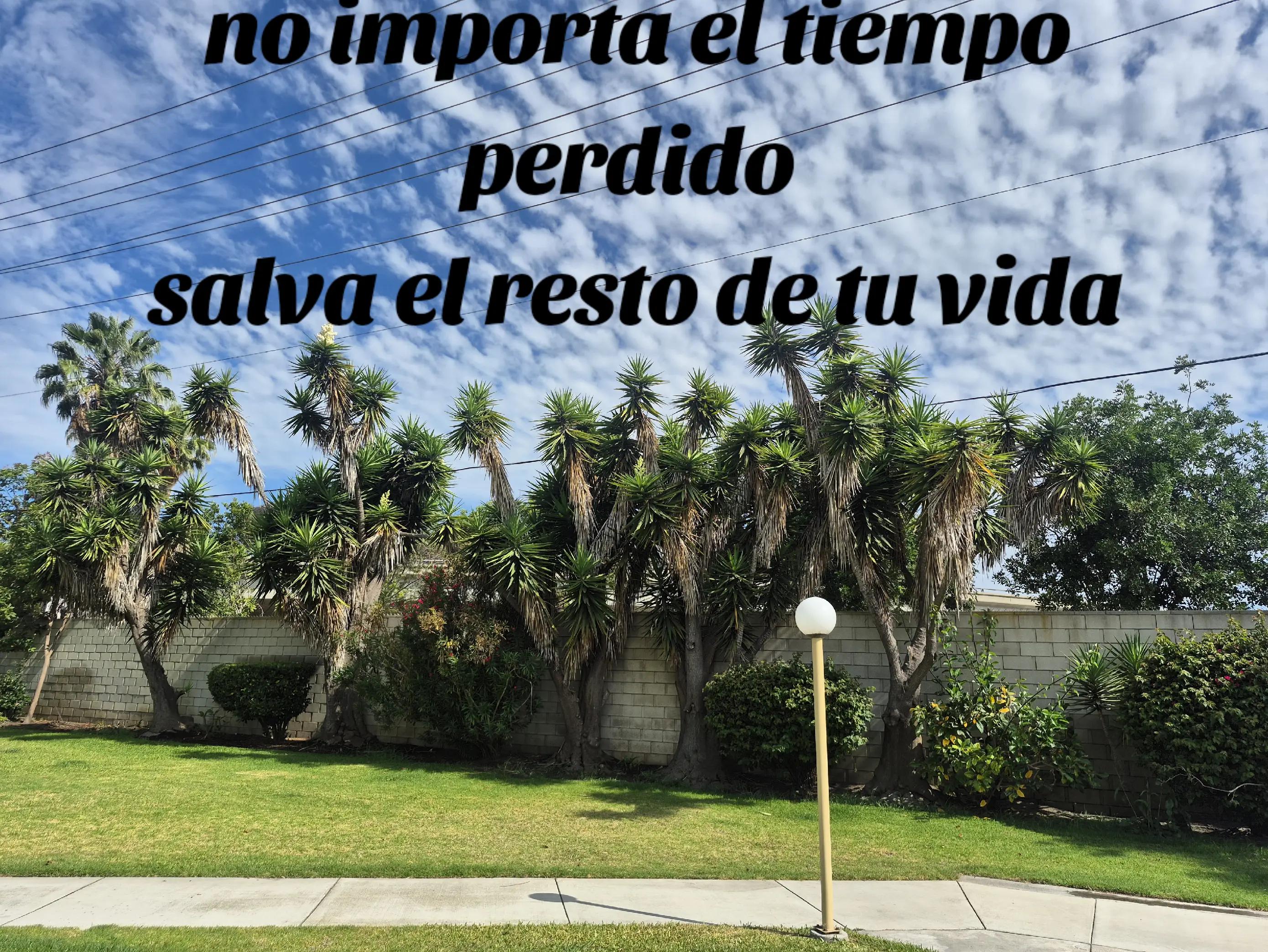 @Alexander✅️