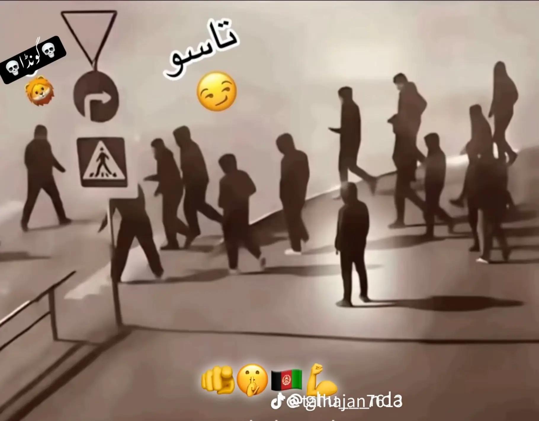 @🇧🇧ℂℍ𝕆𝕋𝔸 ℙ𝔸𝕋𝔸ℕ ♞𝟓𝟓𝟏
