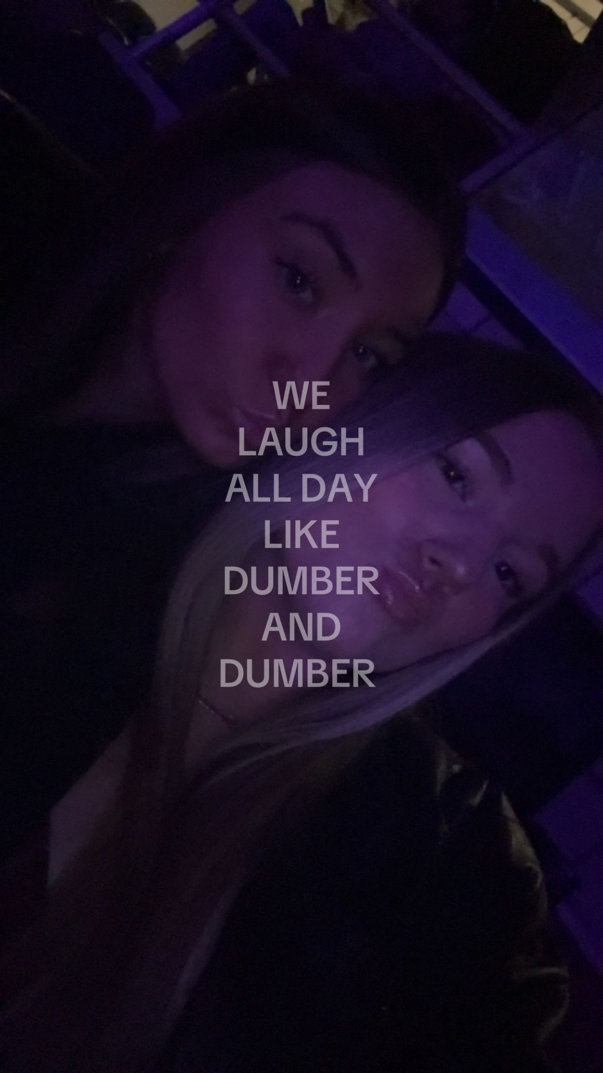 @lauren
