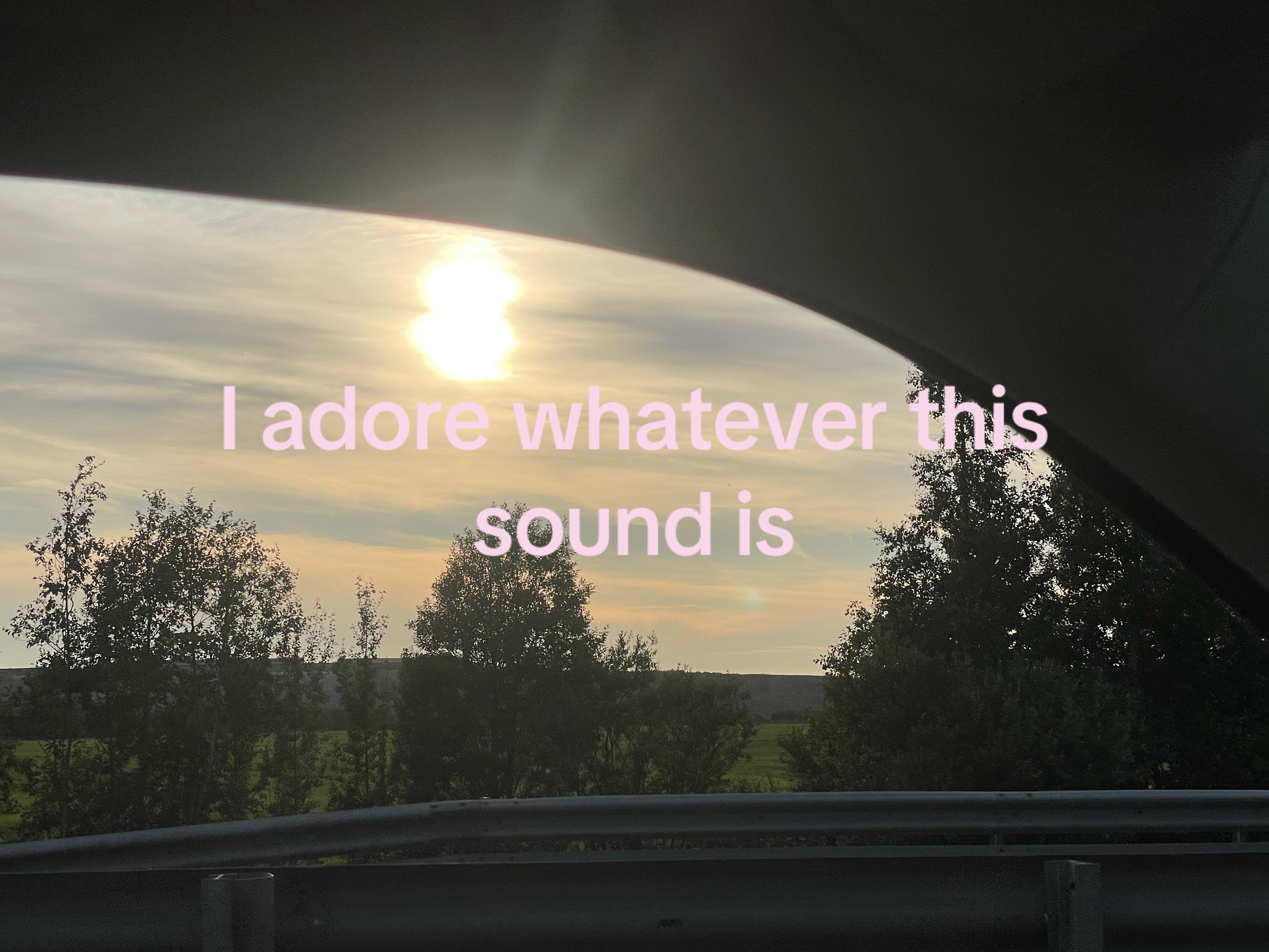 @xenia🎼