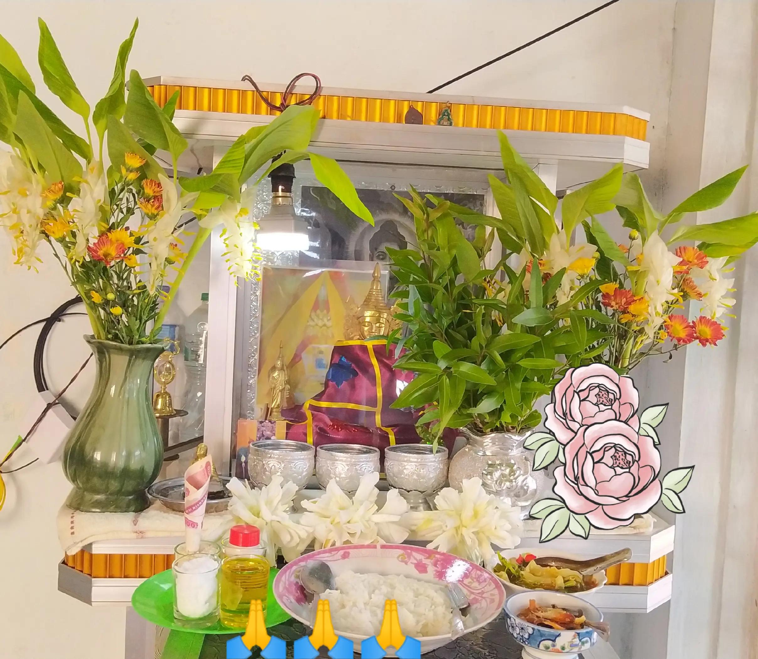 @Aura Bloom