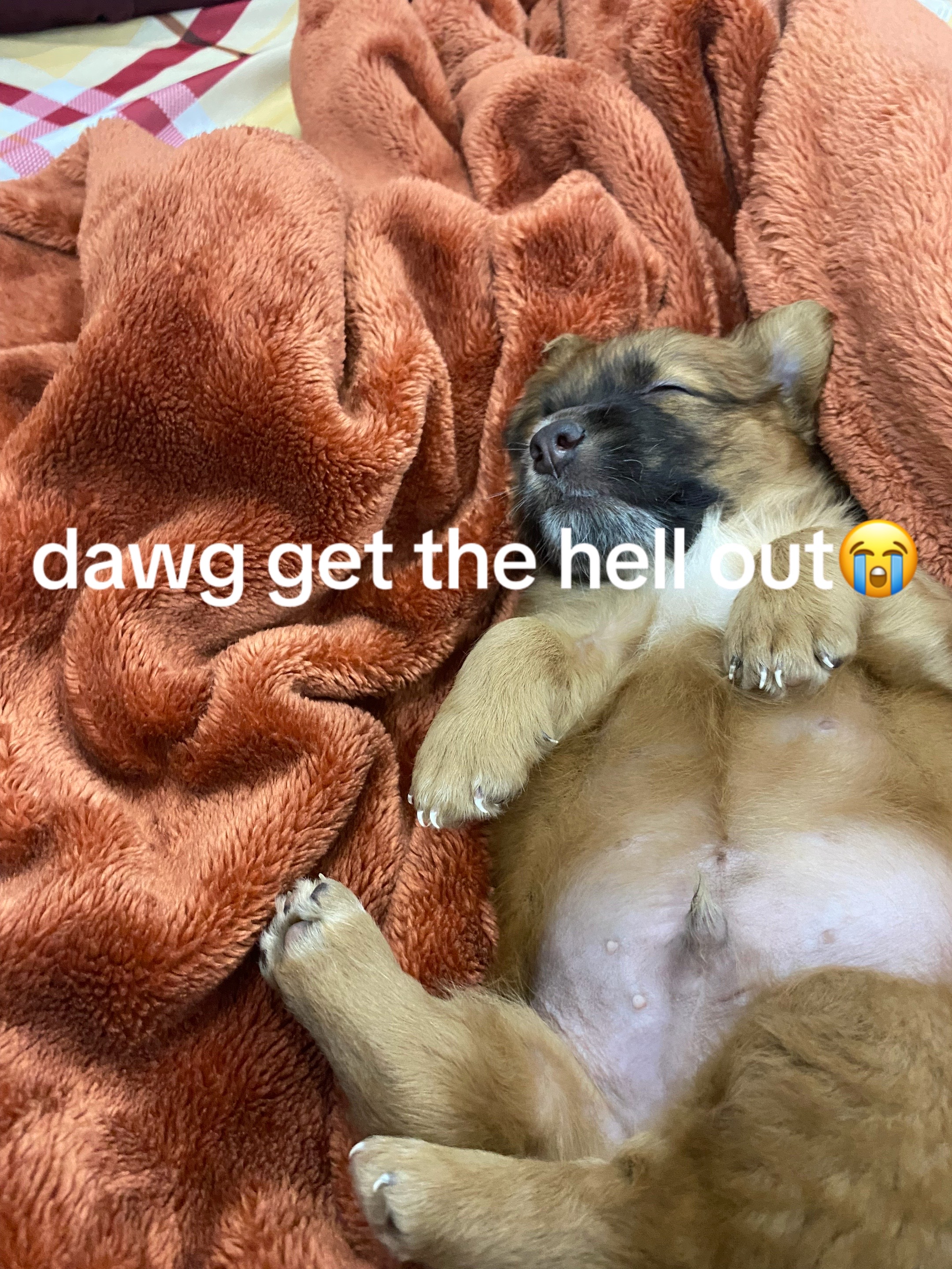 @ddivineclips
