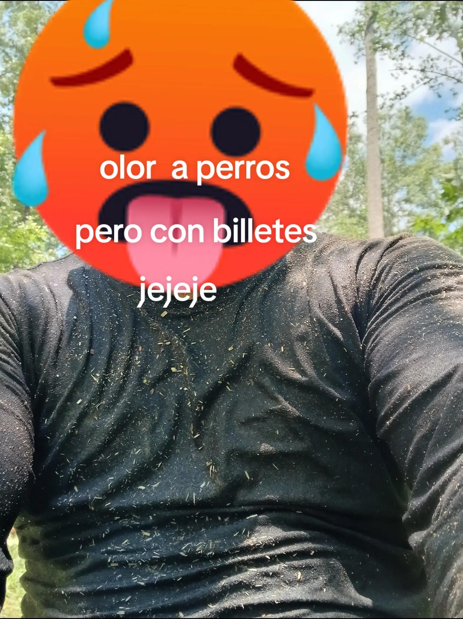 @lesther pop 502