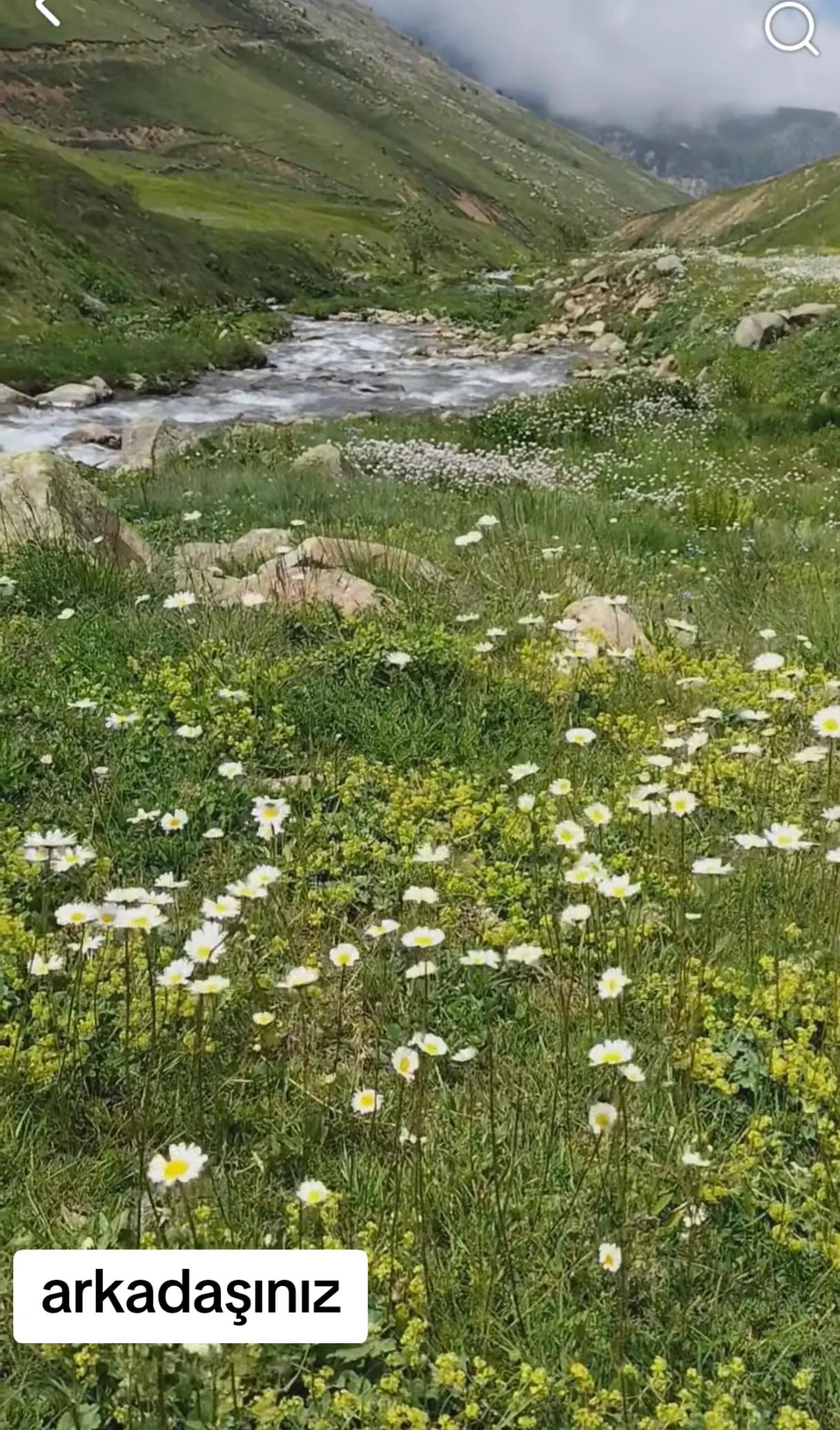 @ÇİĞDEM🪻 ABLANIZ🪻